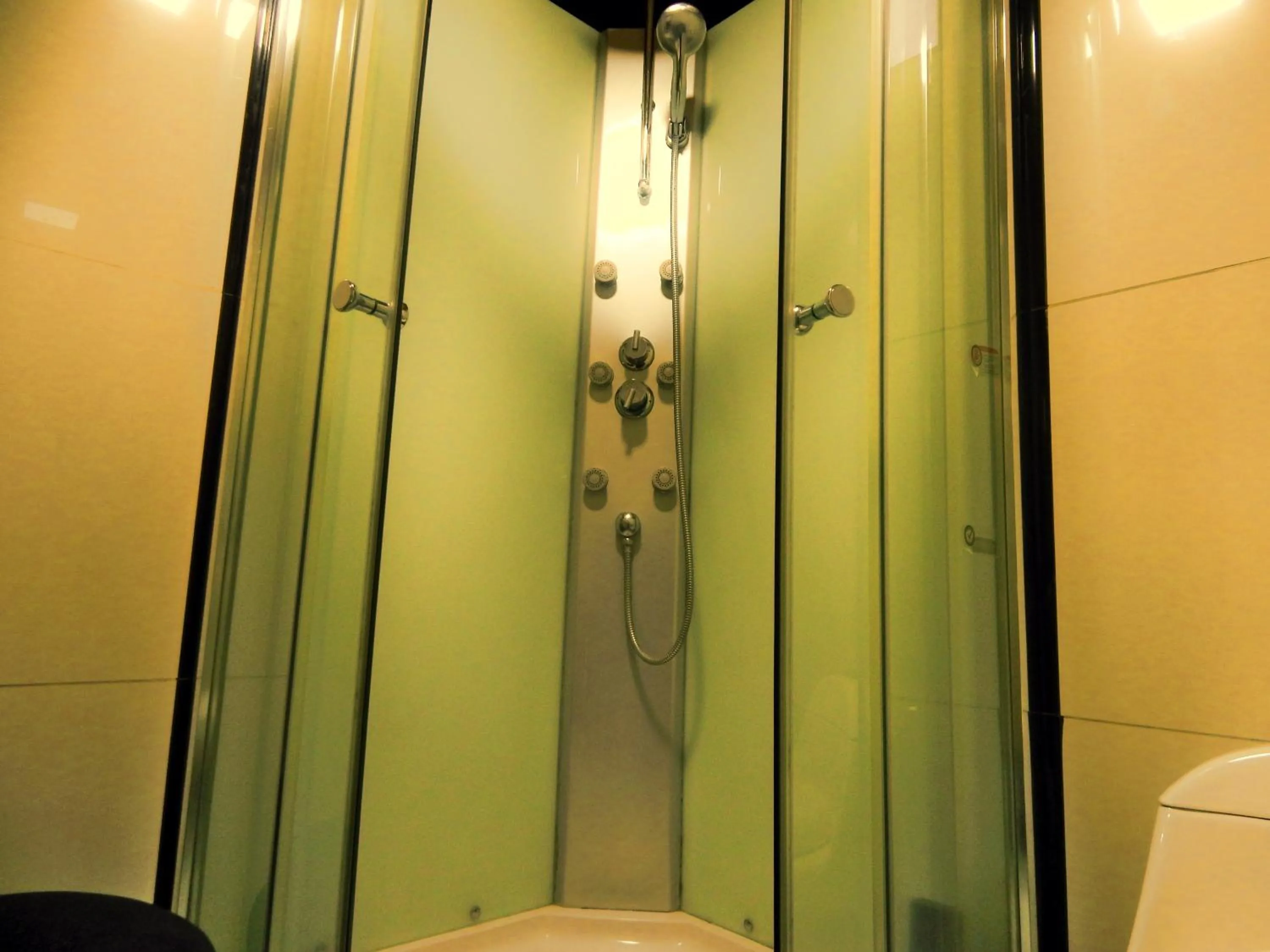 Shower in Hostal Plaza Maule