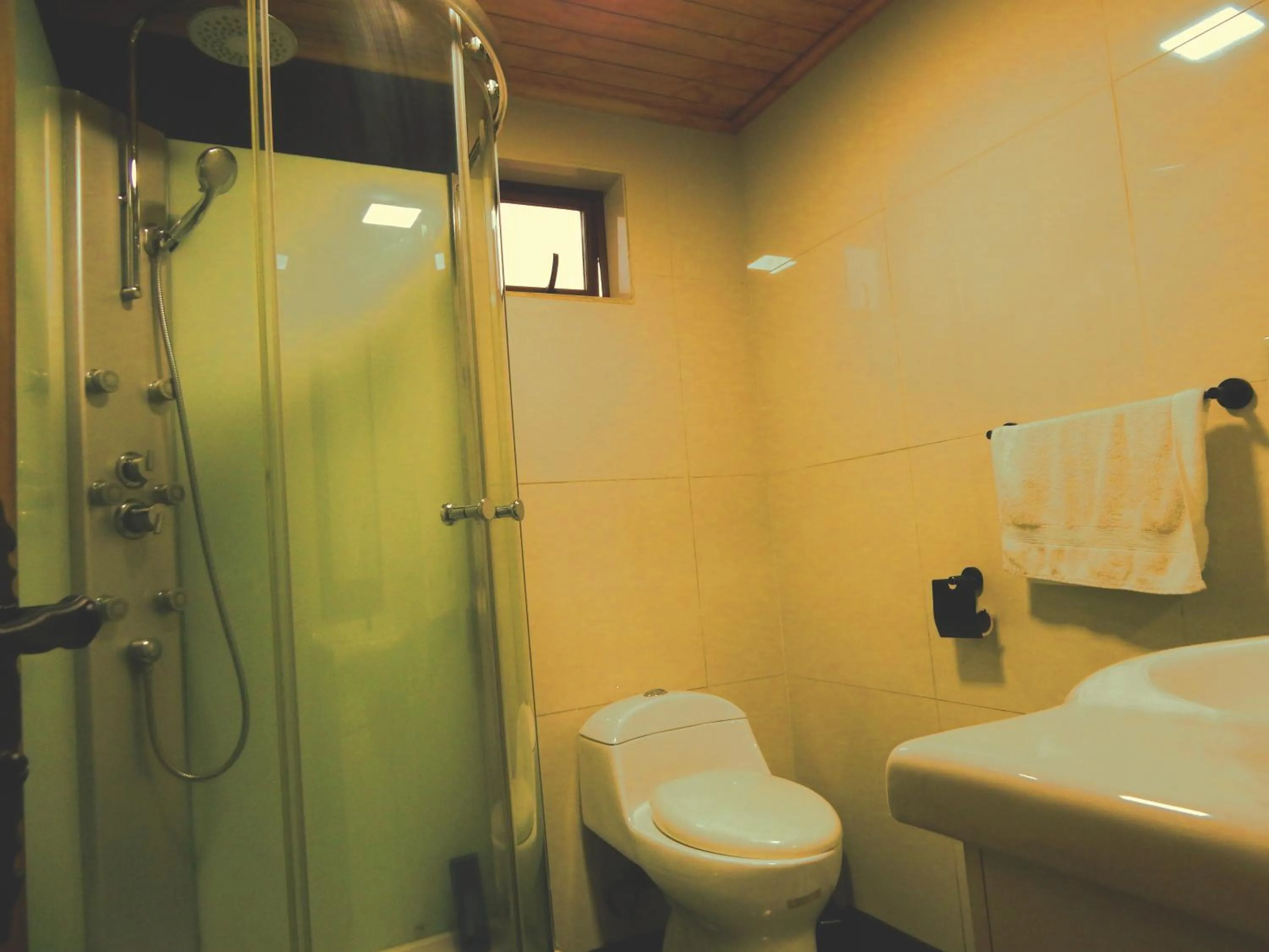 Shower in Hostal Plaza Maule