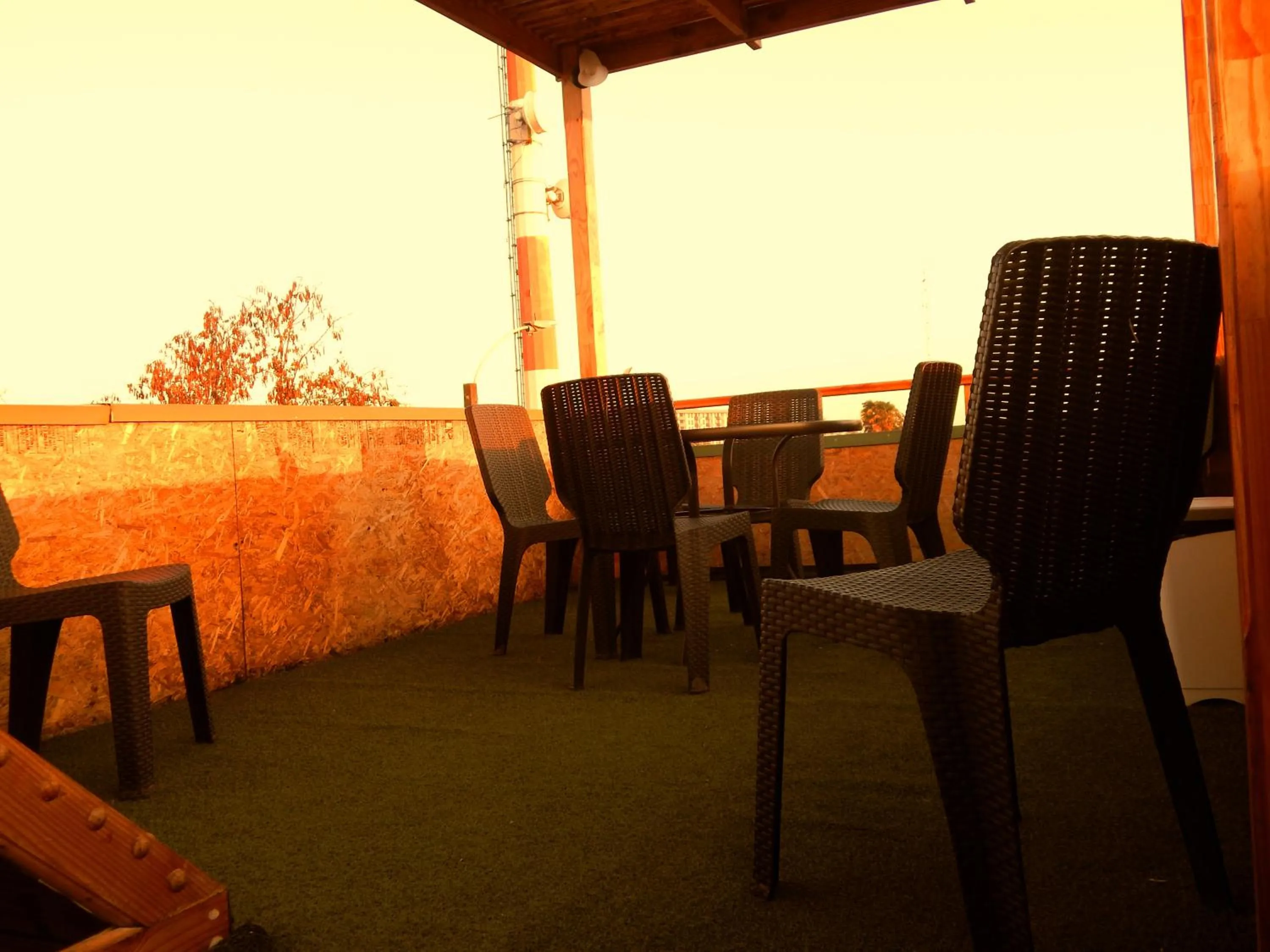 Patio in Hostal Plaza Maule