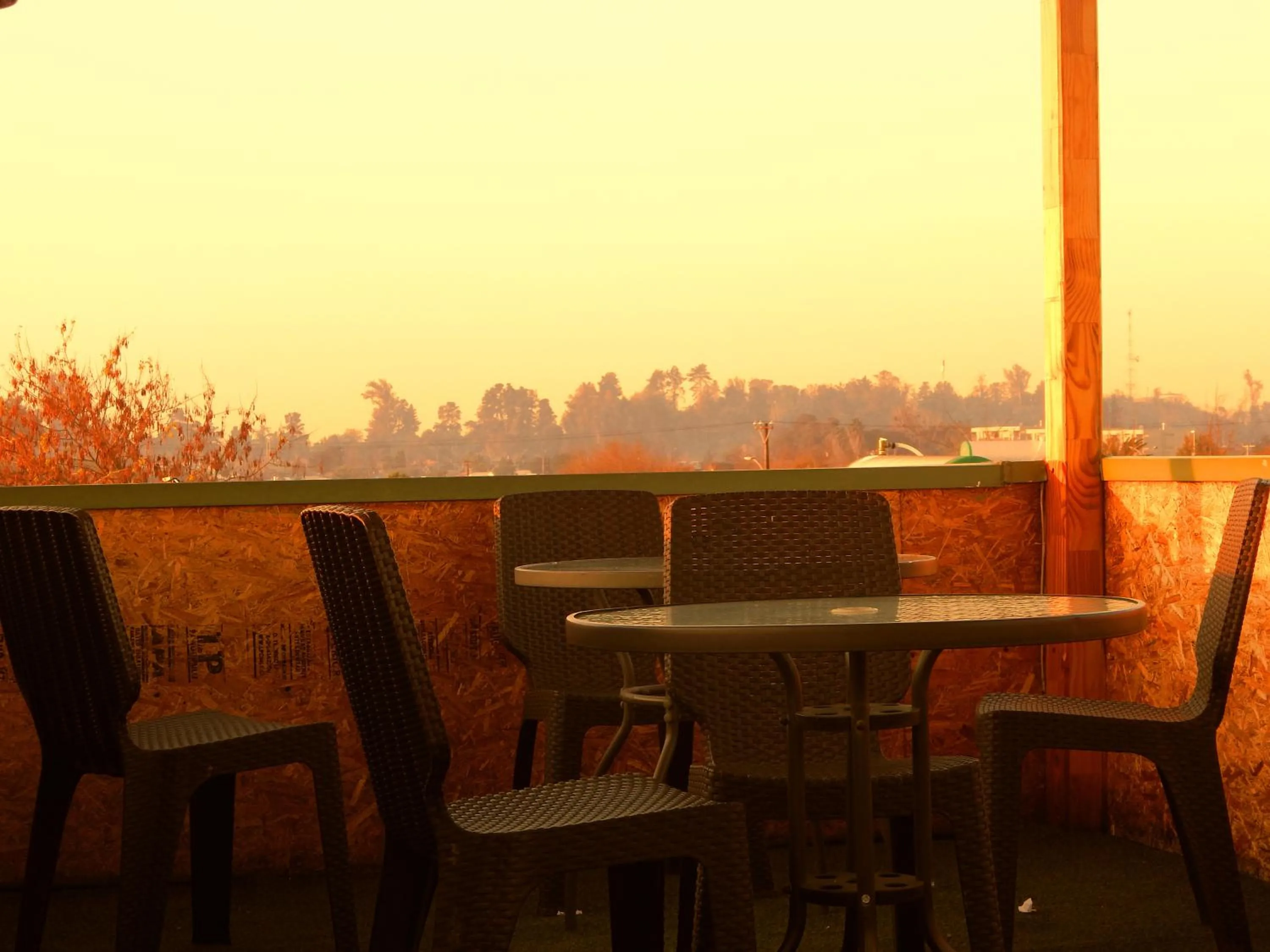 Patio in Hostal Plaza Maule