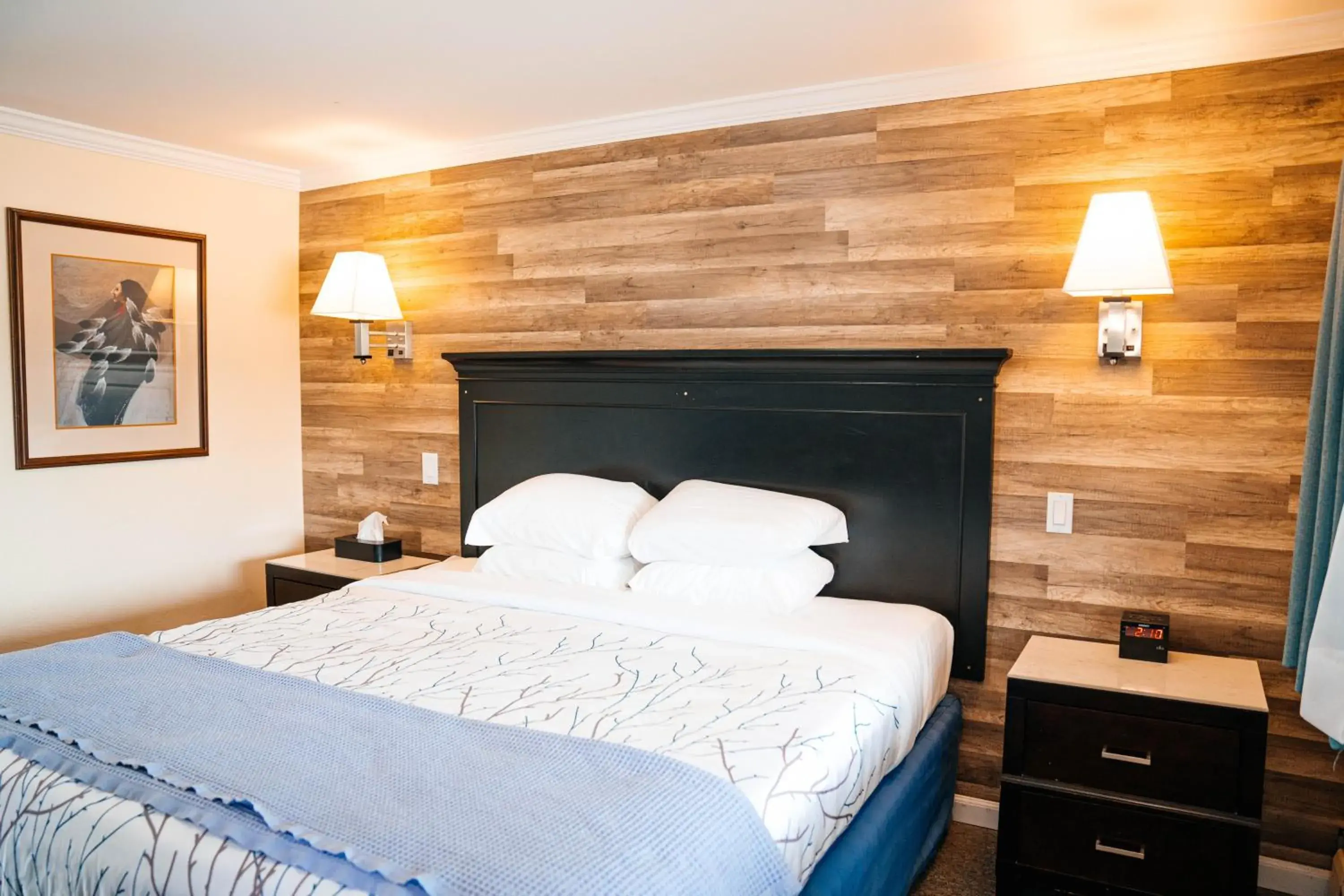 King Room in Salida Inn & Monarch Suites King Room in Salida Inn & Monarch Suites