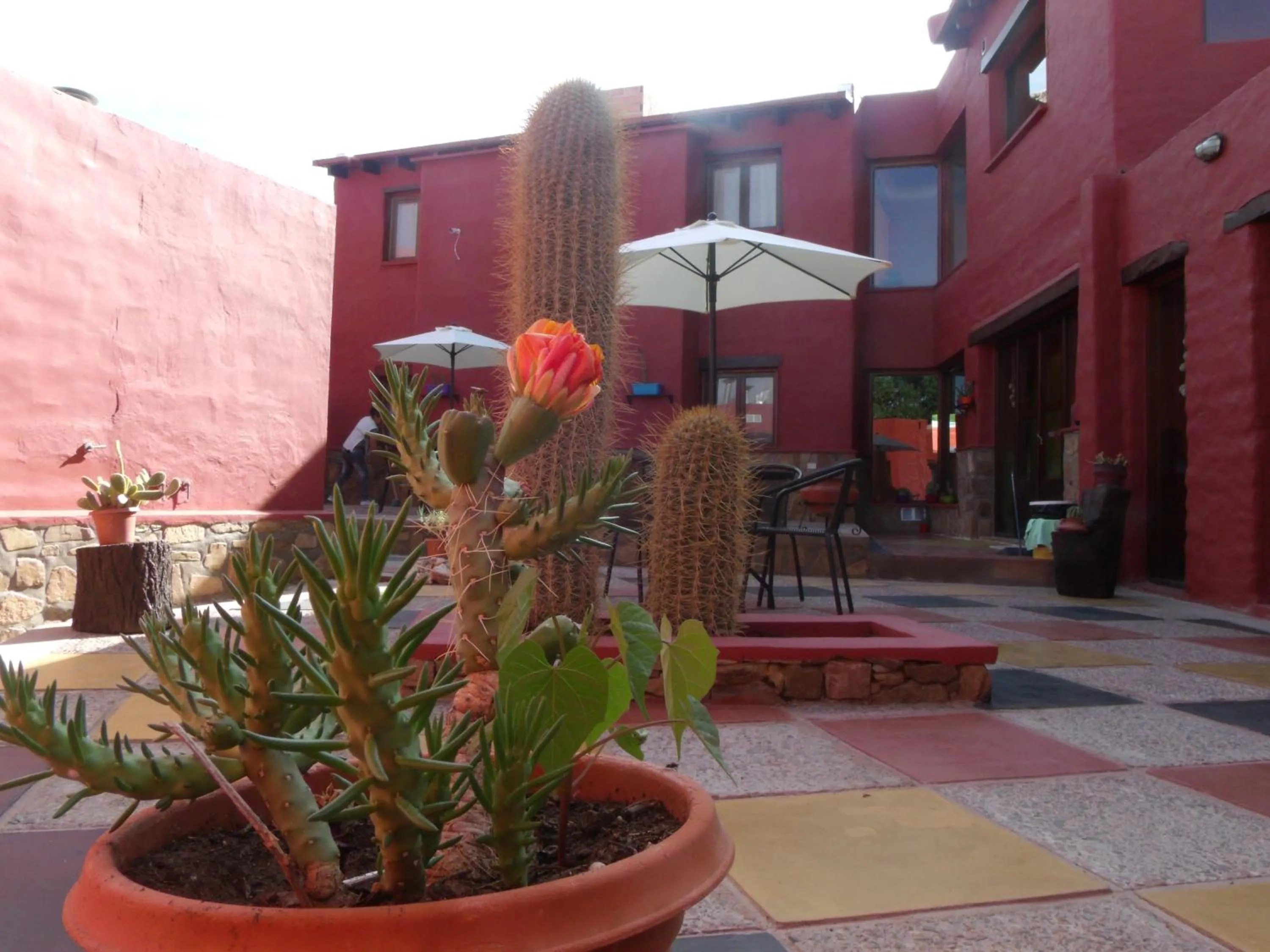 Patio in Hosteria Felipa Pastor - Ex Munay Humahuaca