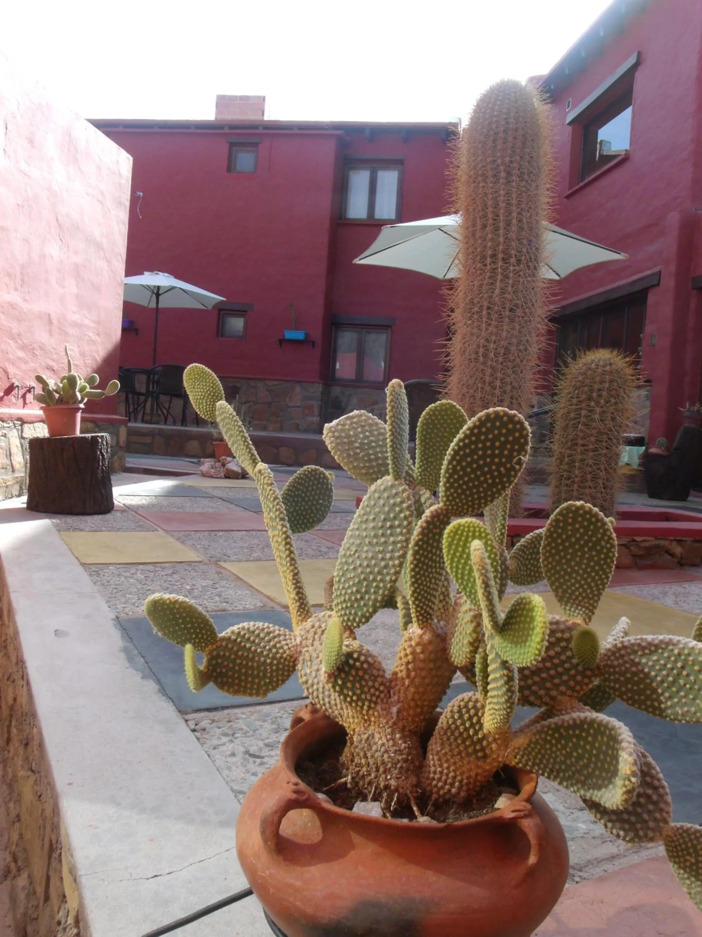 Property building in Hosteria Felipa Pastor - Ex Munay Humahuaca
