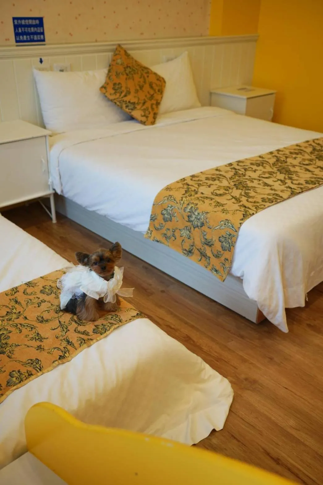 Bedroom in The Hide Bed and breakfast