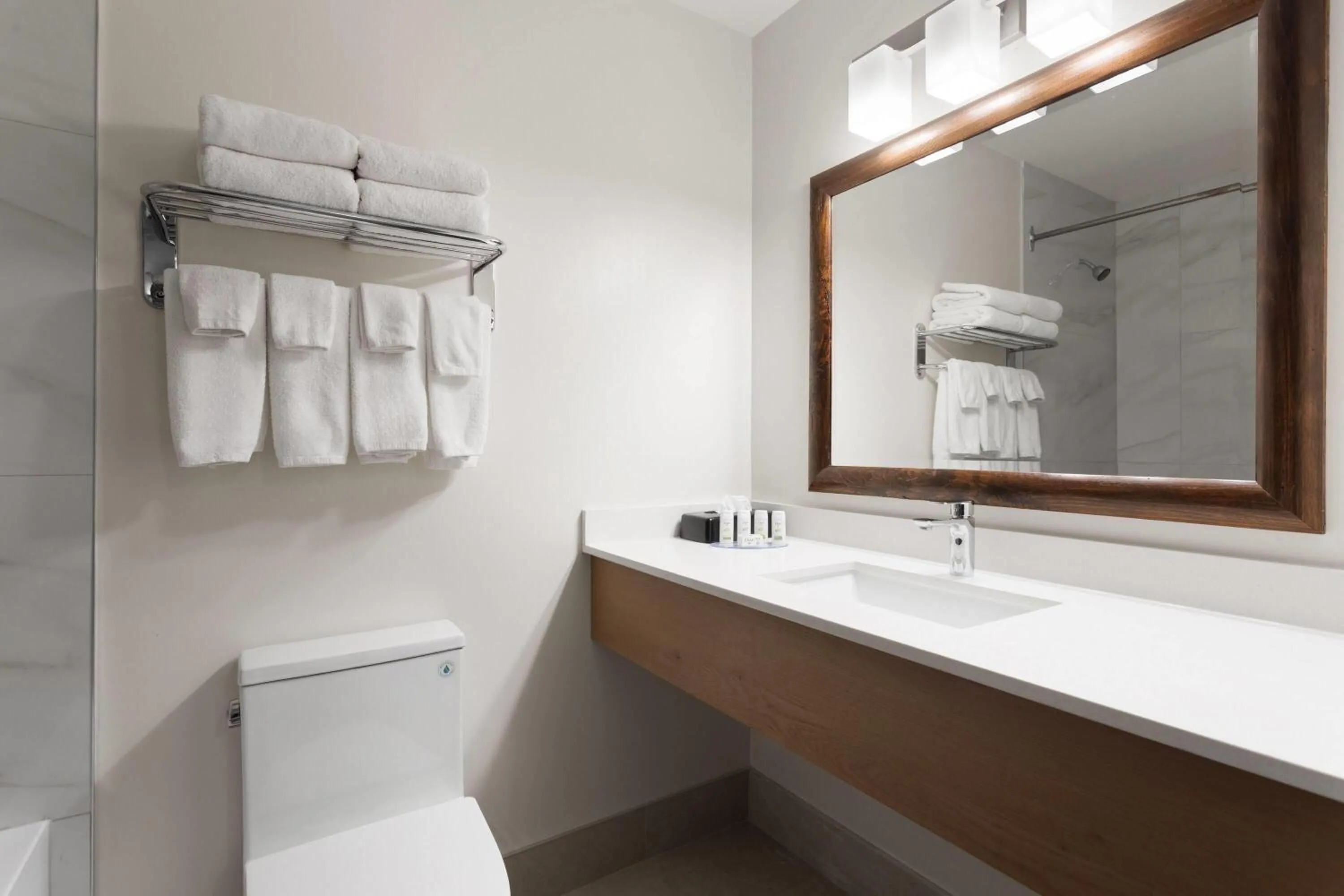 Bathroom in Travelodge by Wyndham Blairmore