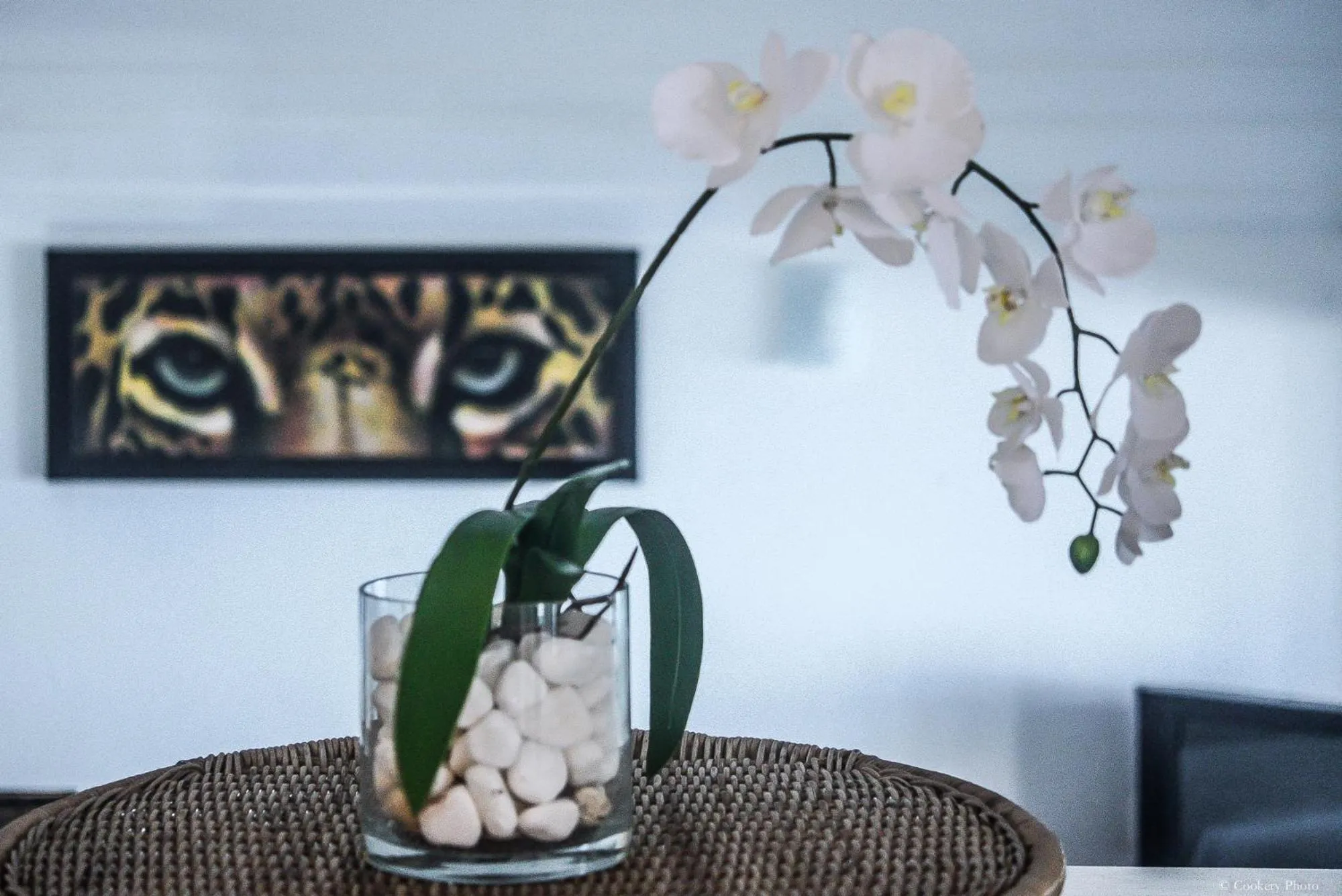 Barracuda Eco Resort Búzios