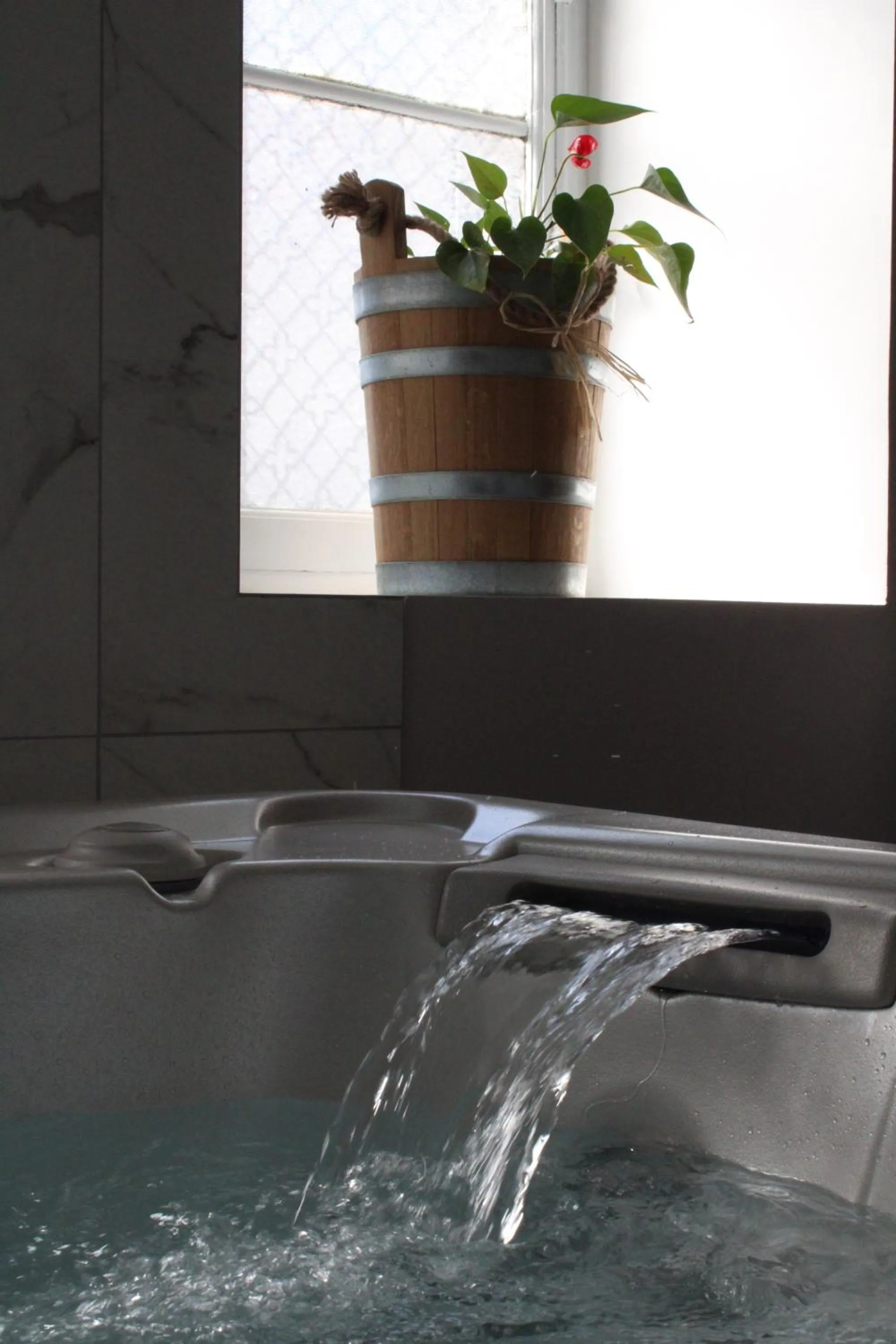 Spa and wellness centre/facilities in La Tour Pom'Pin