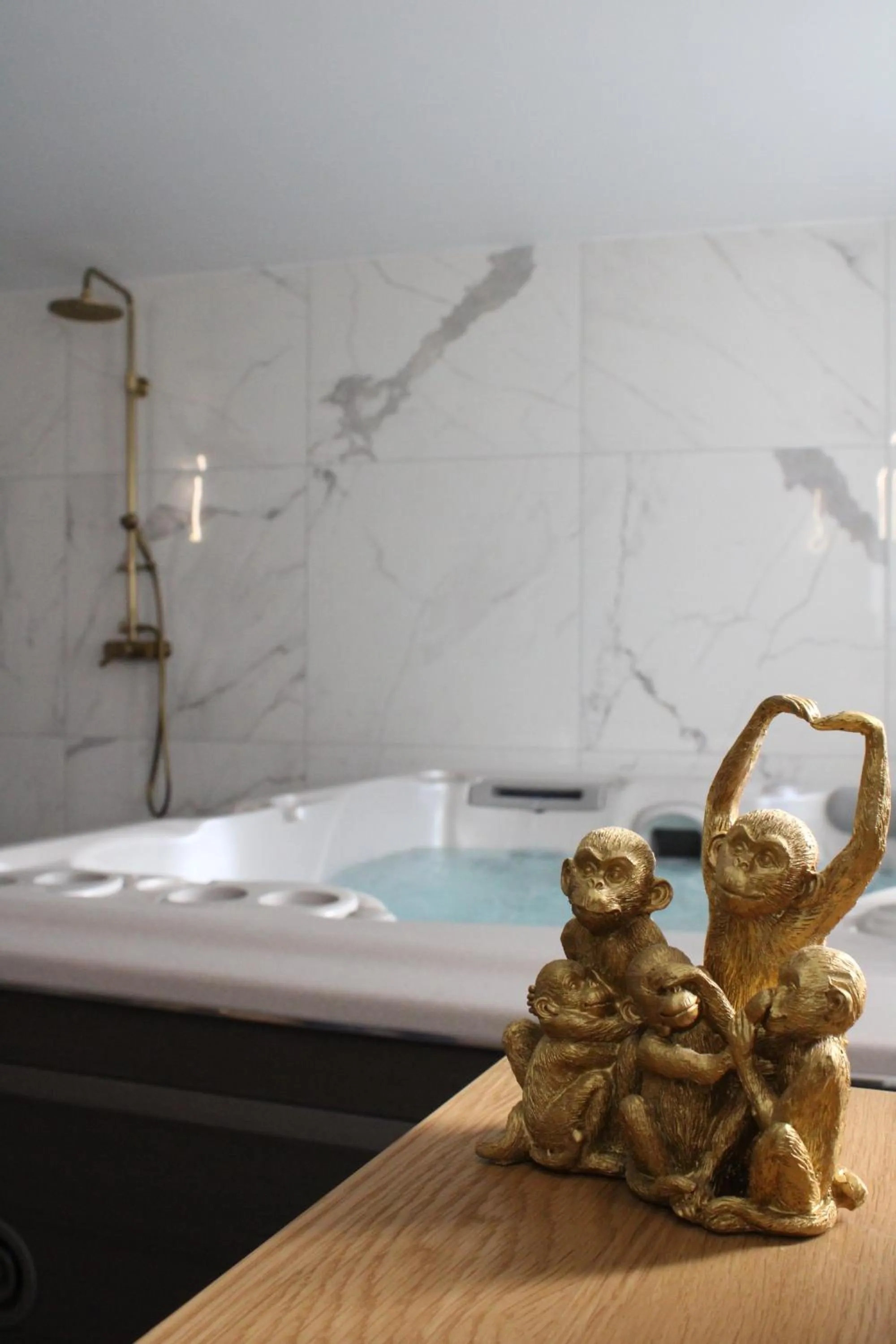 Spa and wellness centre/facilities in La Tour Pom'Pin