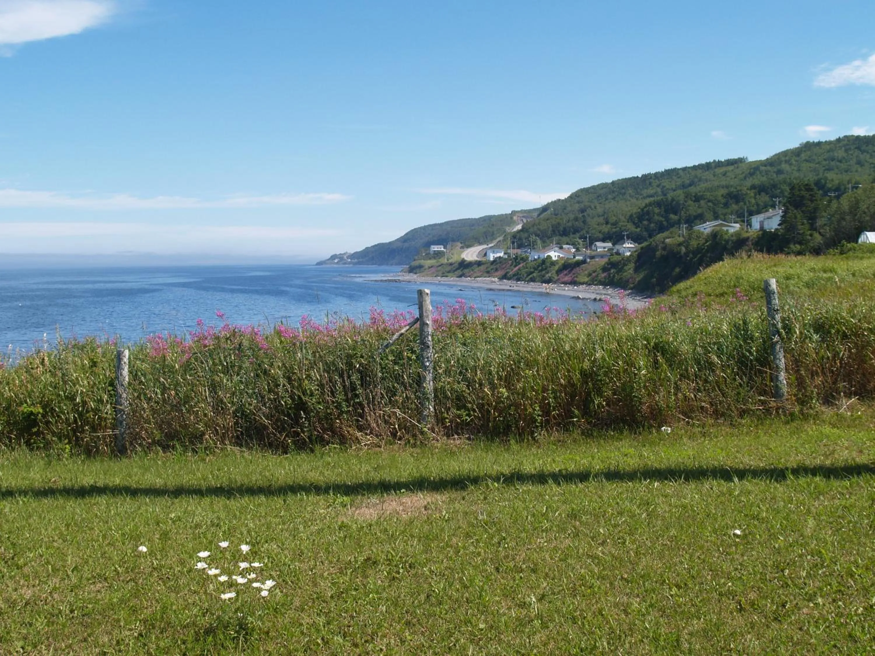 Garden in Restaurant-Motel L'Etoile du Nord