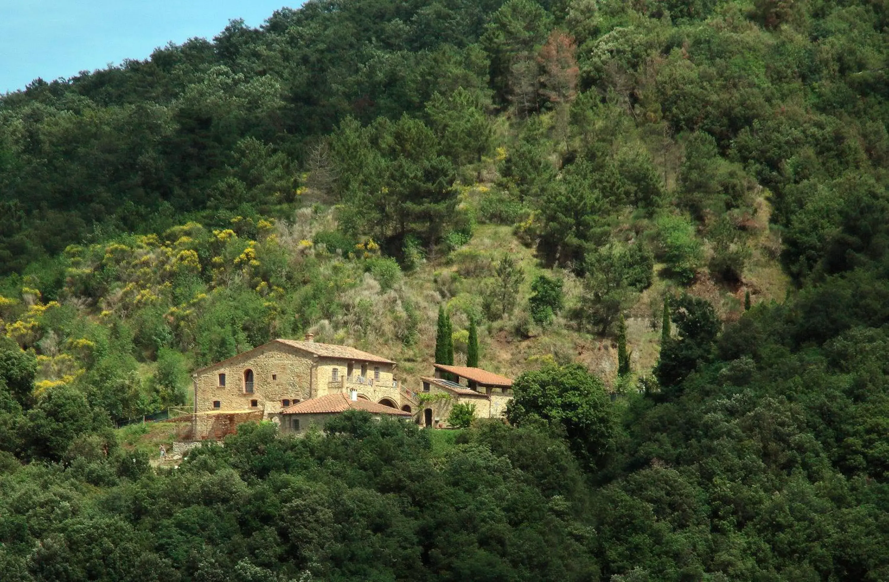 Podere Ripi Podere Ripi