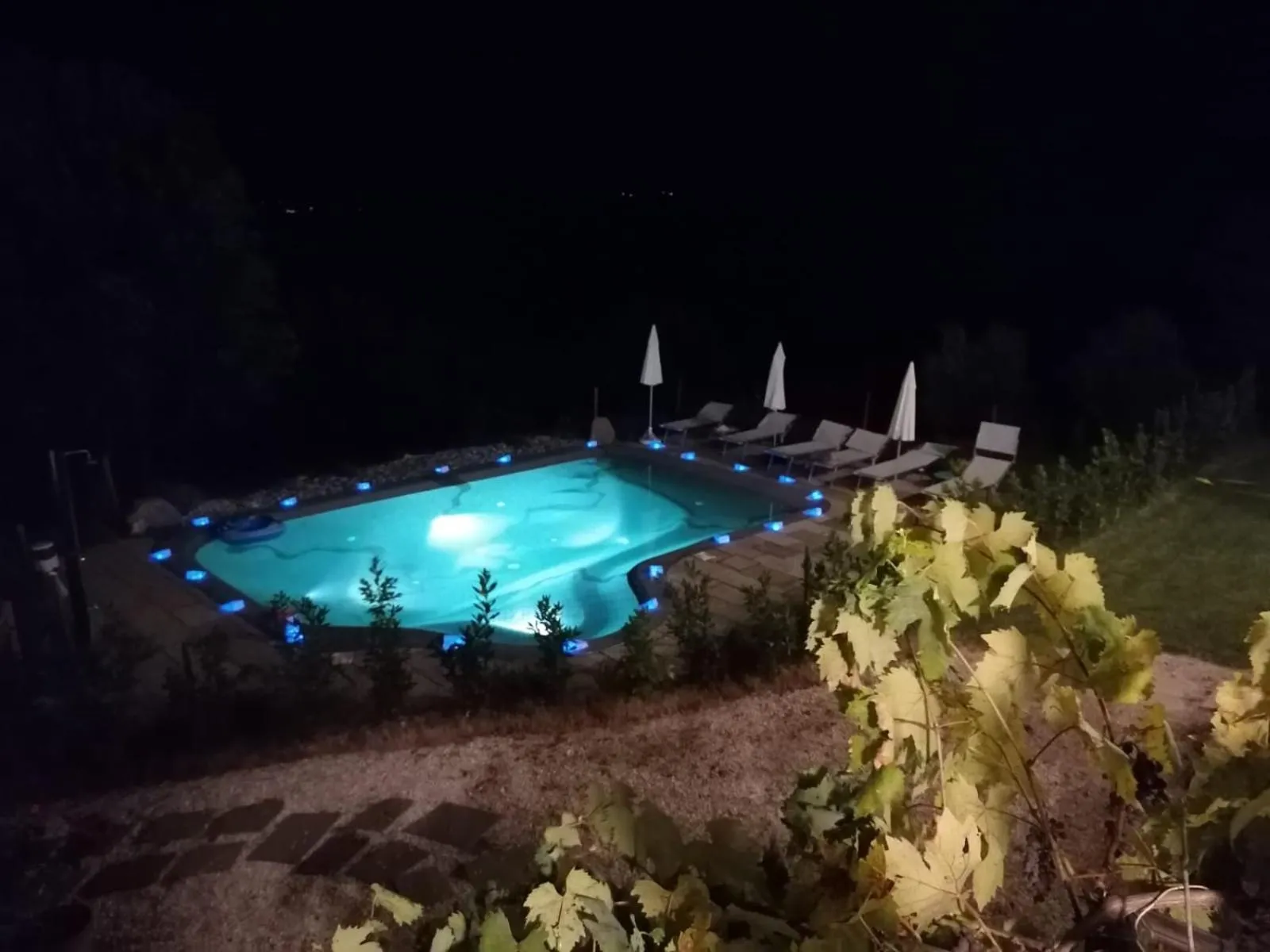 Podere Ripi