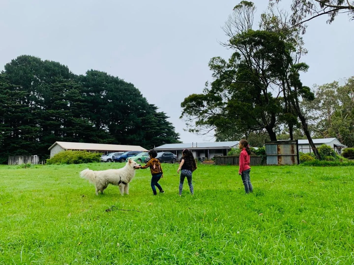 Pets in Twelve Apostles Motel & Country Retreat