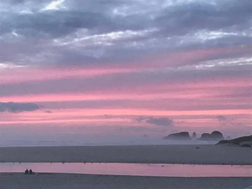 Webb's Scenic Surf