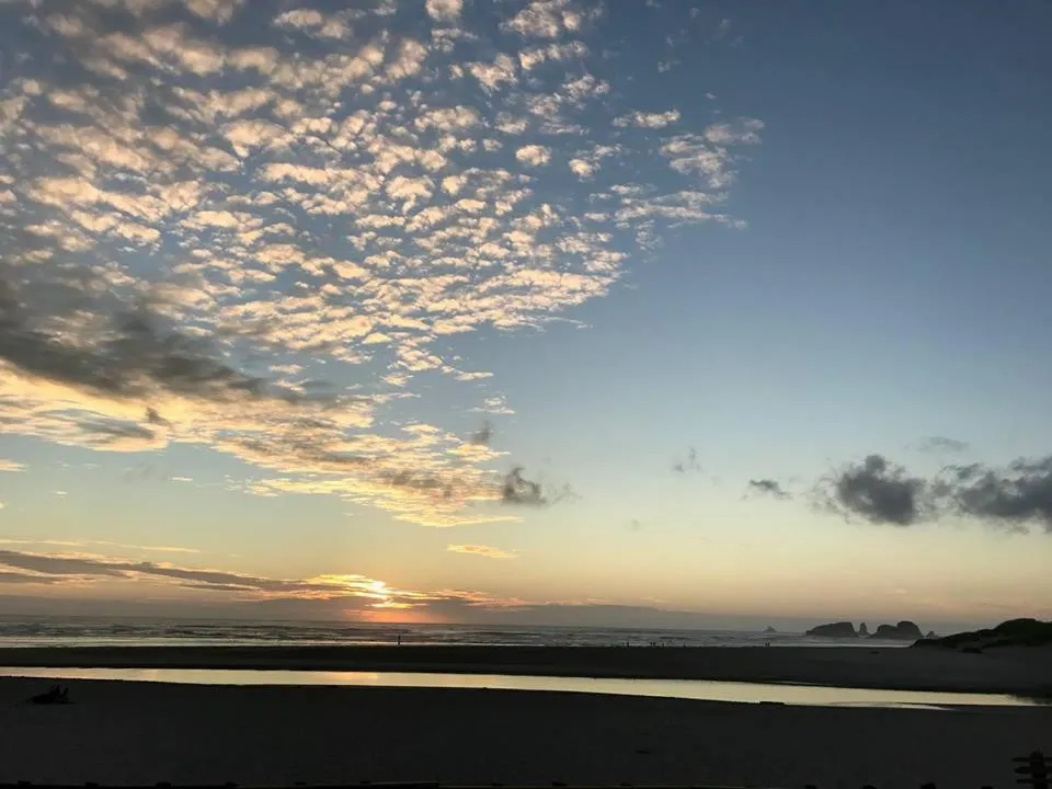 Natural landscape in Webb's Scenic Surf