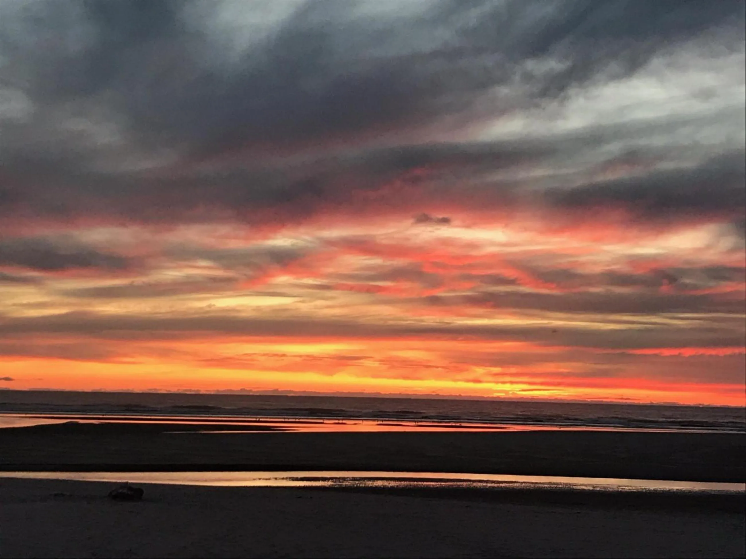 Natural landscape in Webb's Scenic Surf