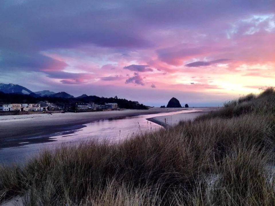 Natural landscape in Webb's Scenic Surf