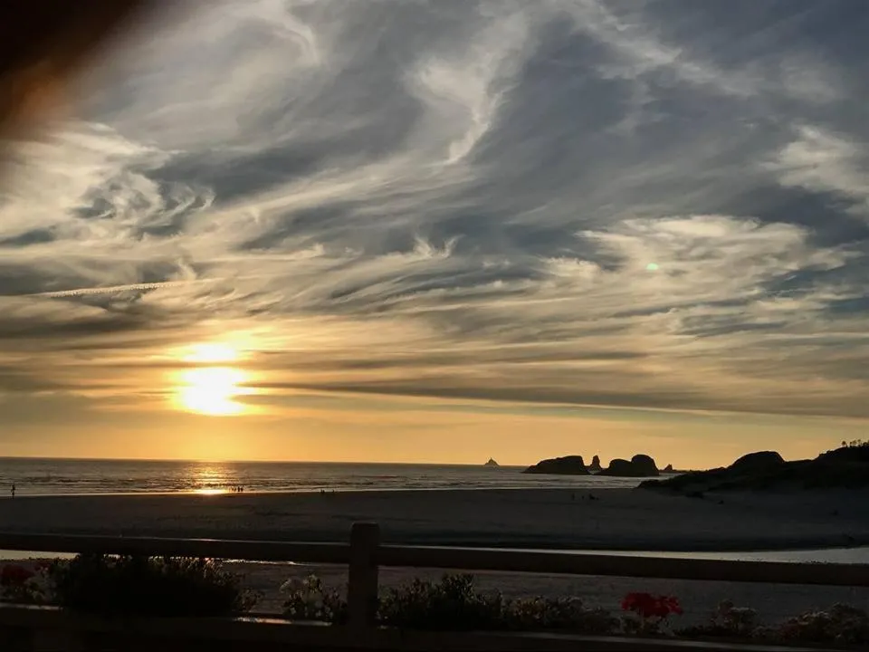 Natural landscape in Webb's Scenic Surf