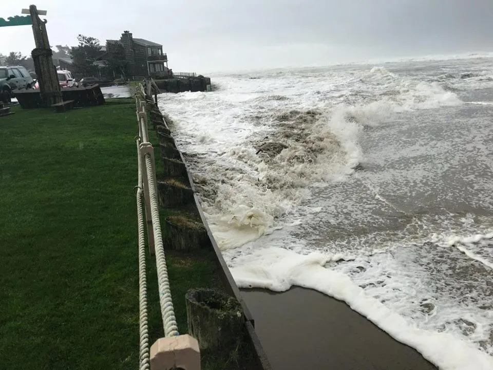 Garden in Webb's Scenic Surf