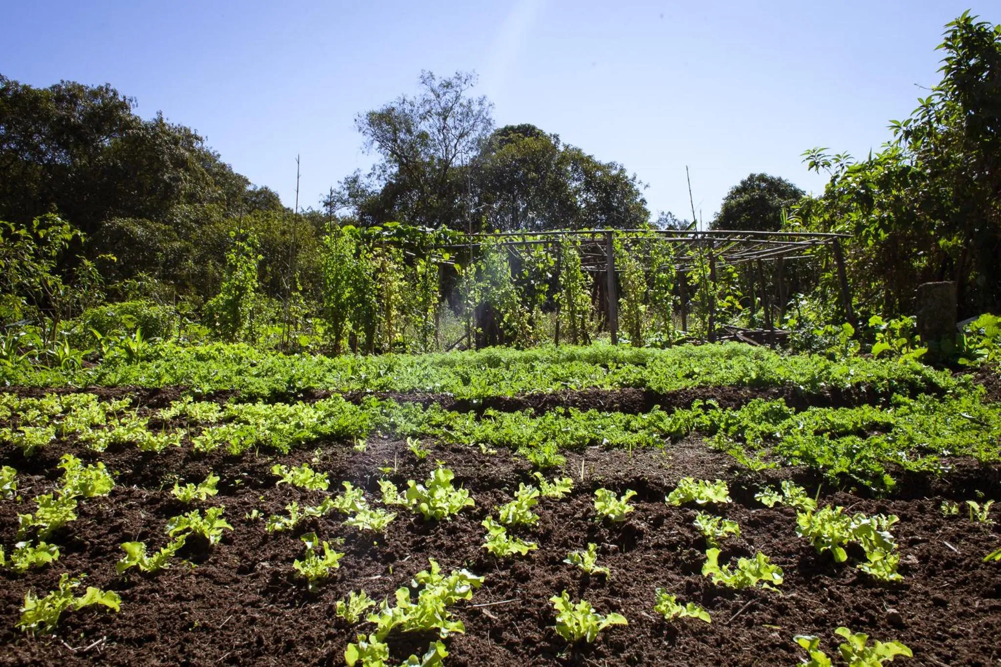 Hotel Fazenda Santa Barbara