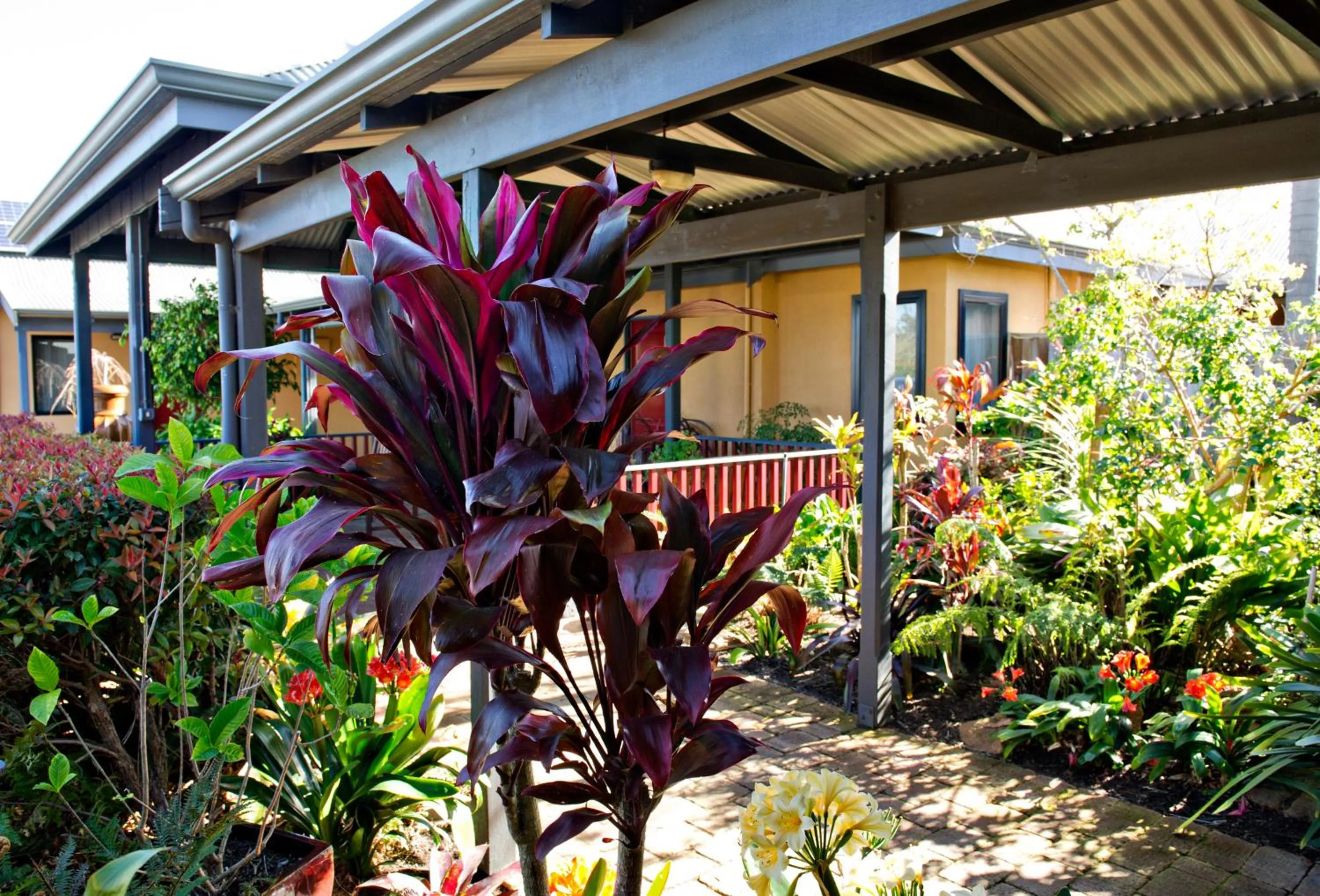 Garden in Vintages Accommodation