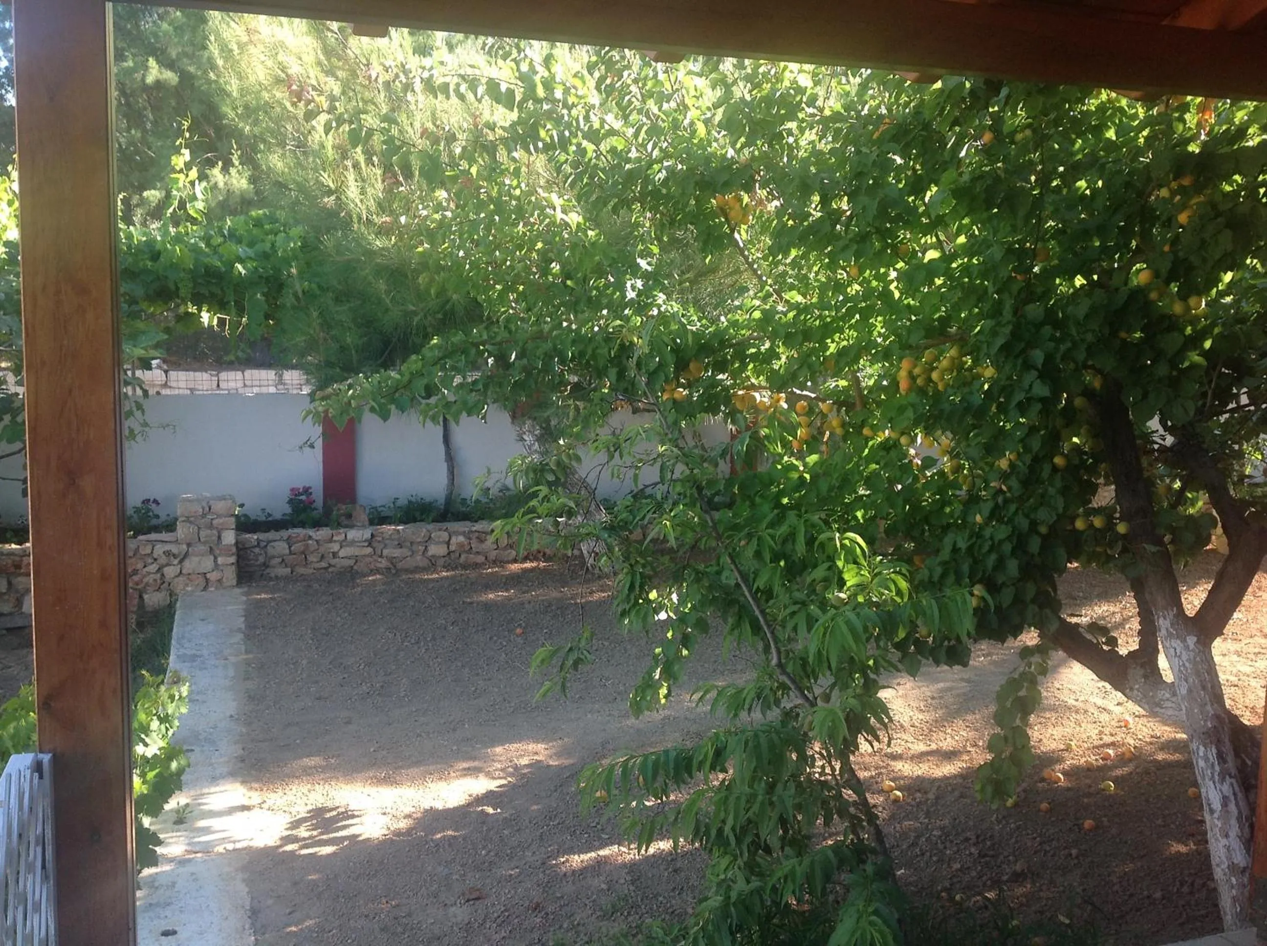 Garden view in Hotel Petras Beach