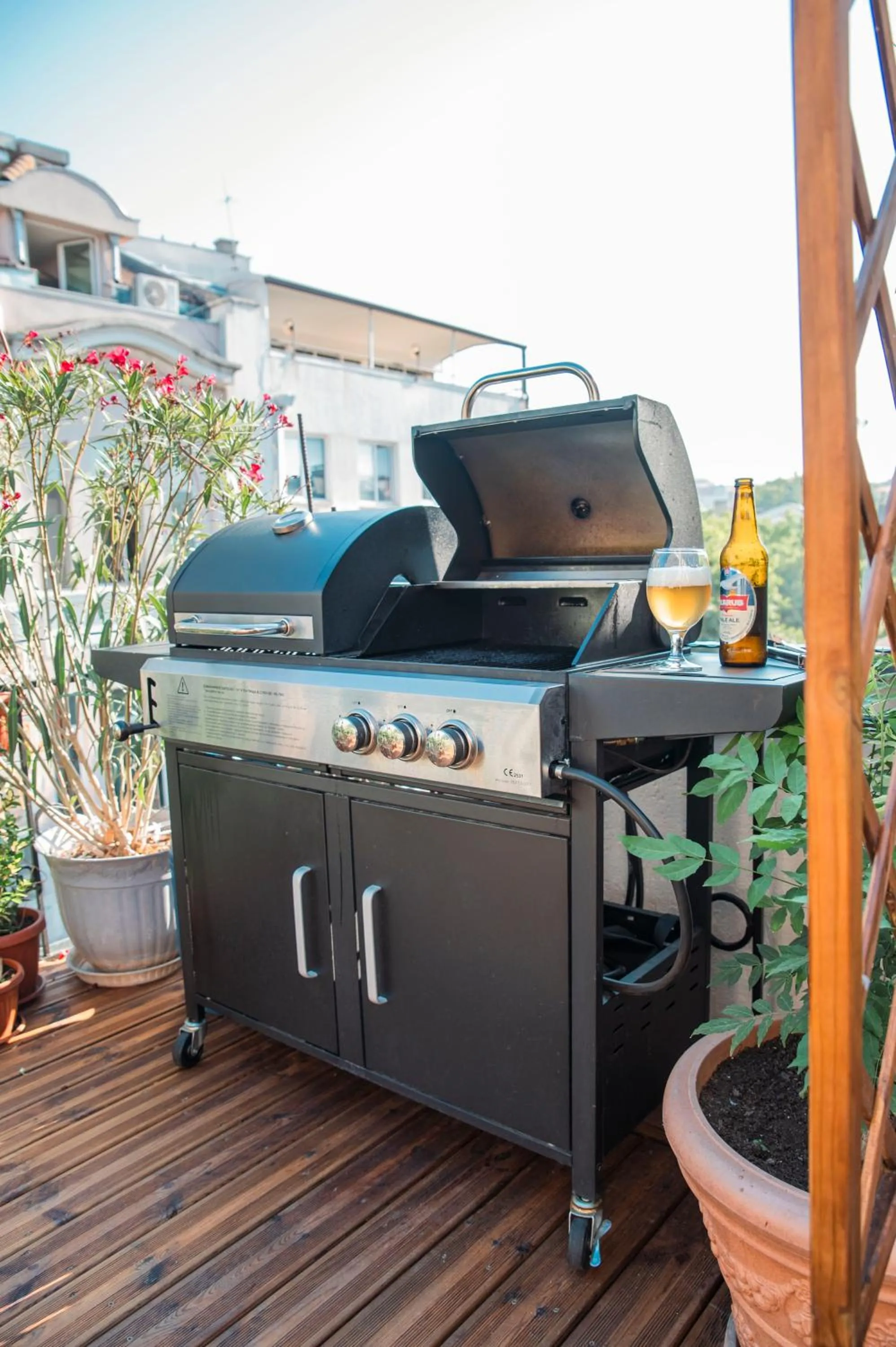 Three Dolphins Hotel with a Rooftop terracе