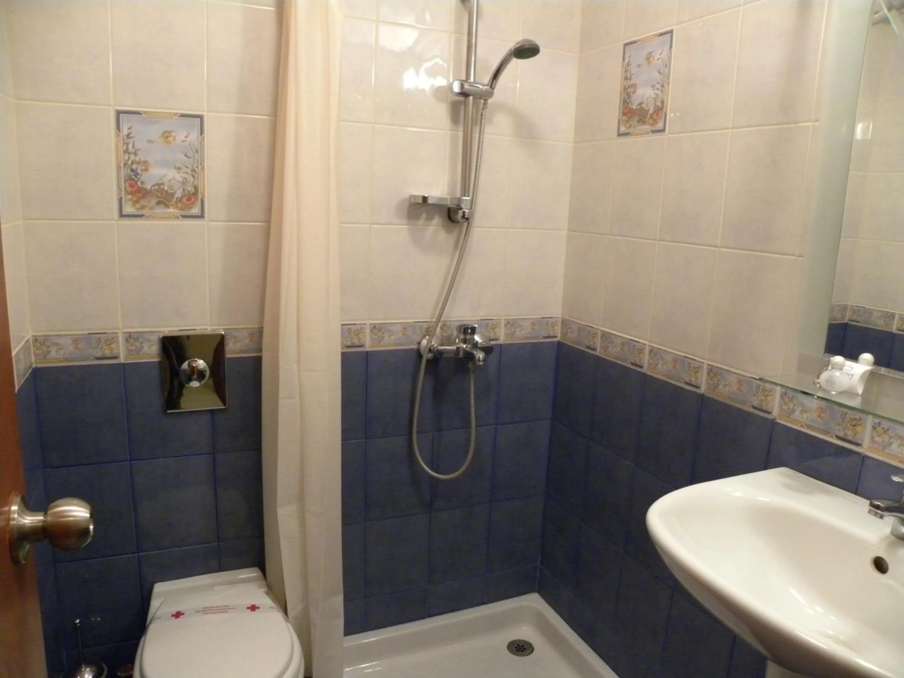 Shower in Three Dolphins Hotel with a Rooftop terracе