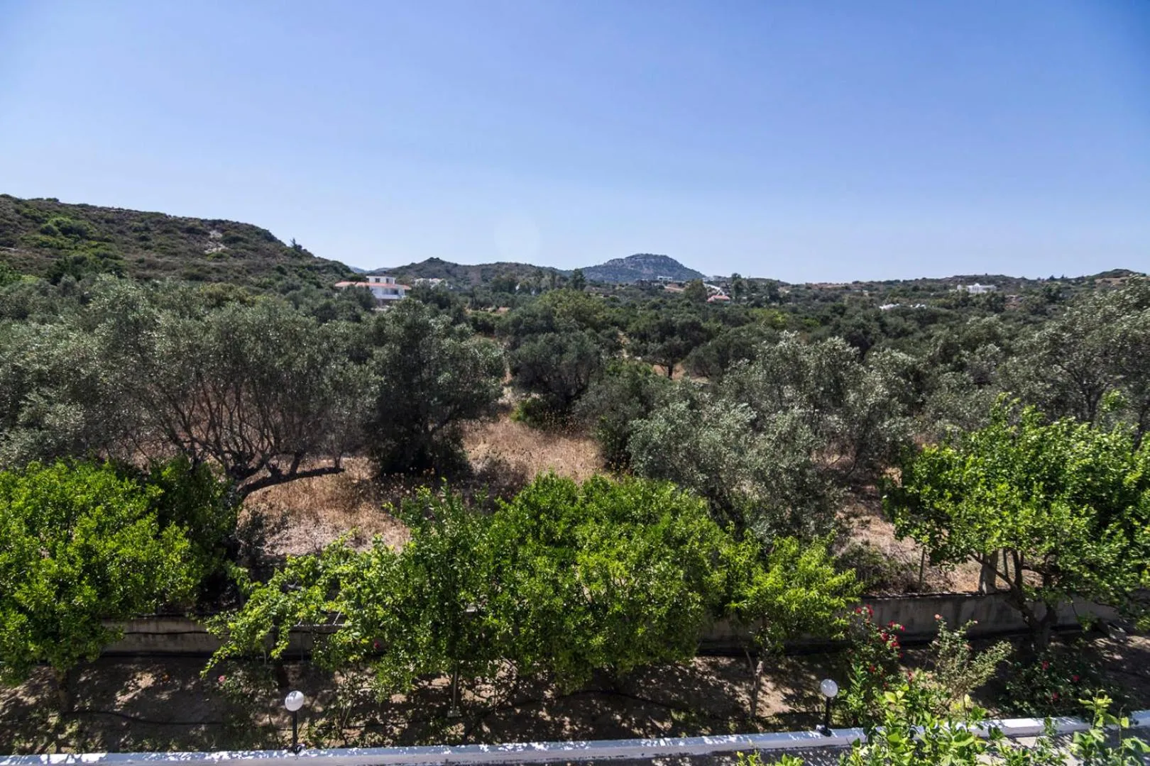 Neighbourhood in Tivoli Hotel