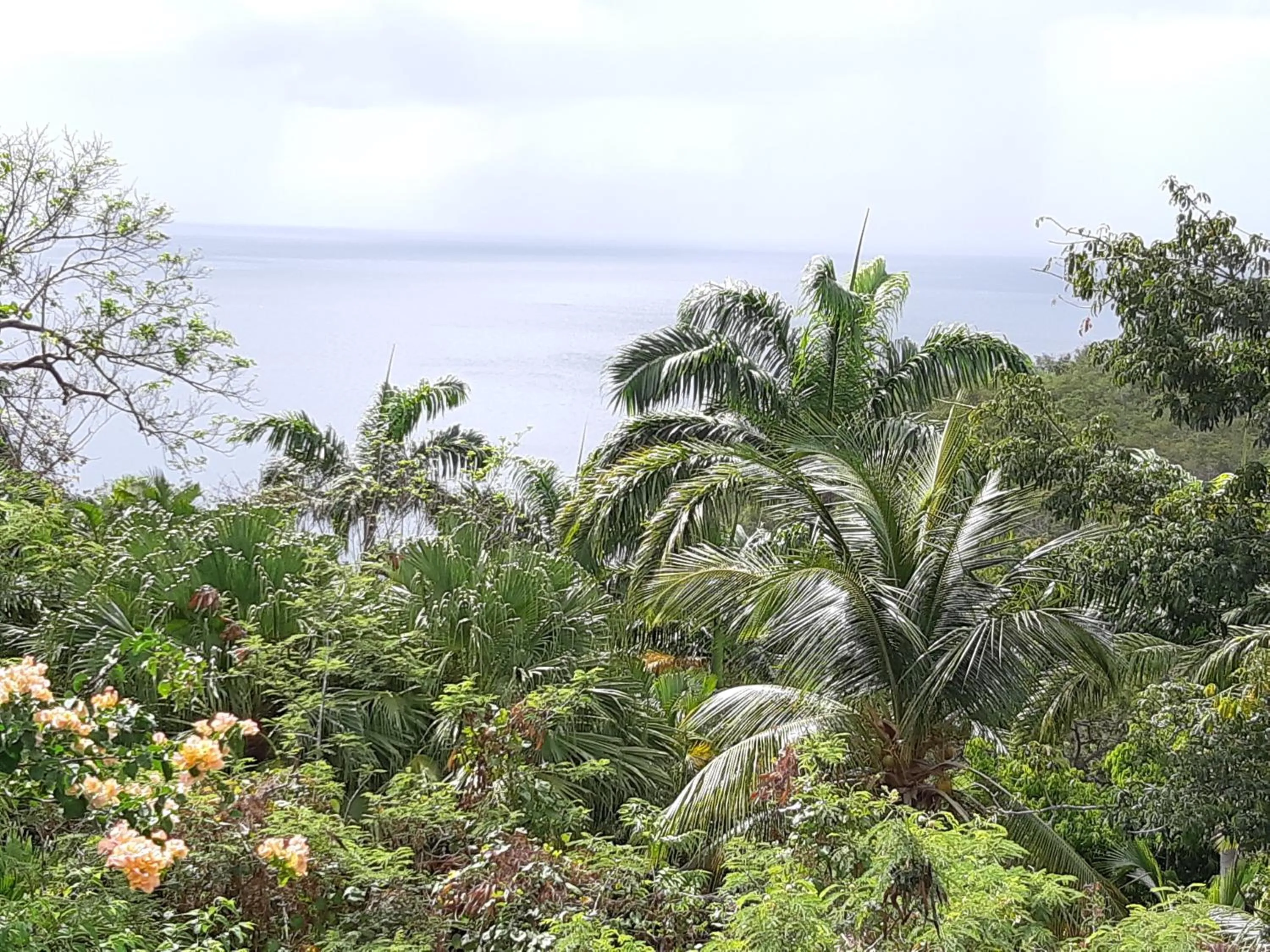 Sea view in Domaine Choco Vanille