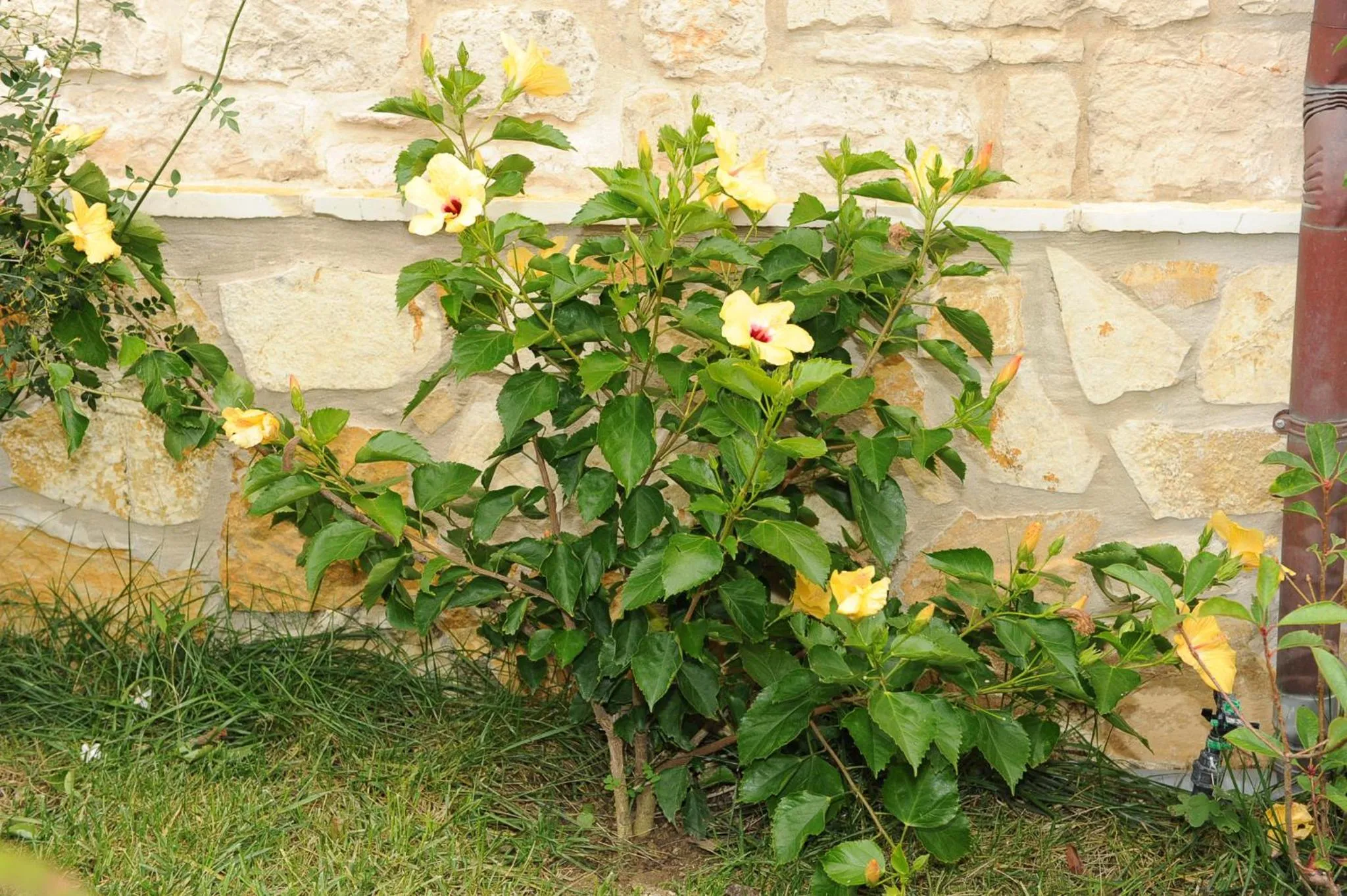 Facade/entrance in Ammos Zante Villas