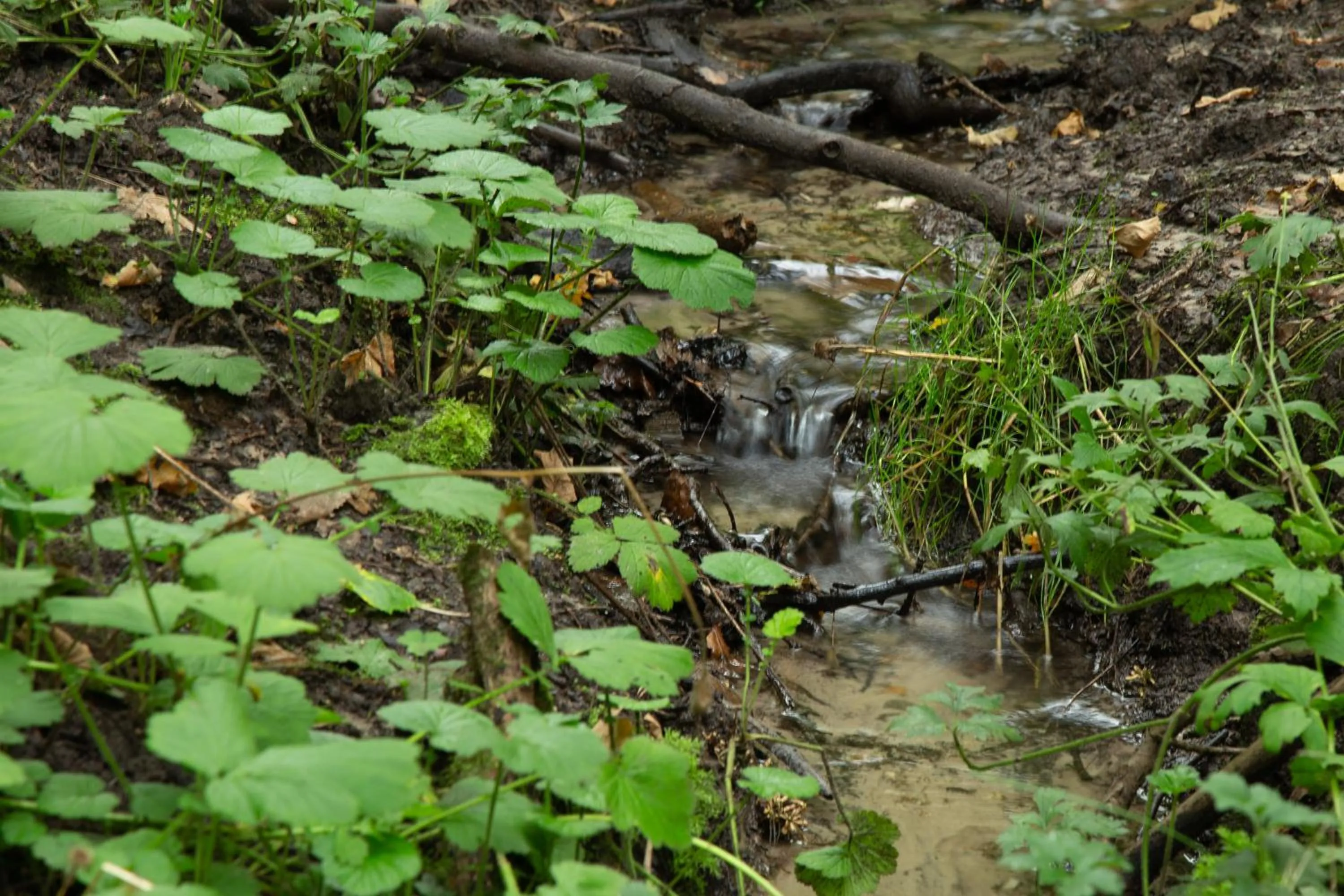 Natural landscape in Rønnes Hotel