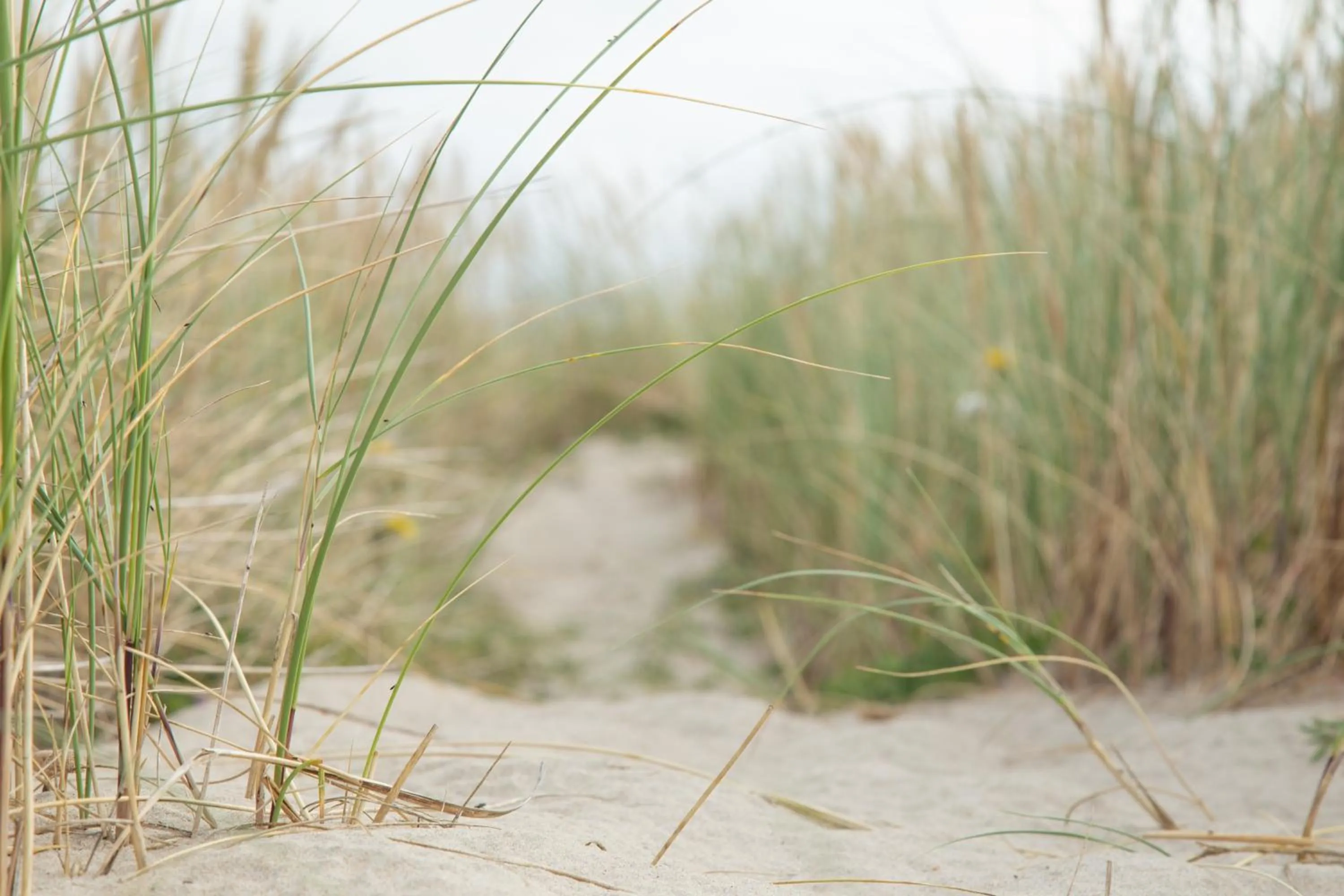 Natural landscape in Rønnes Hotel