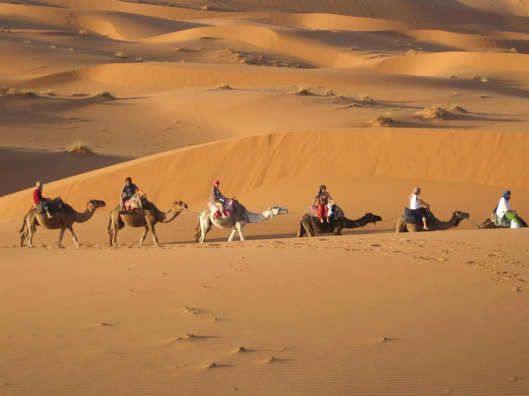 Day in Hôtel Riad Tadarte Familier