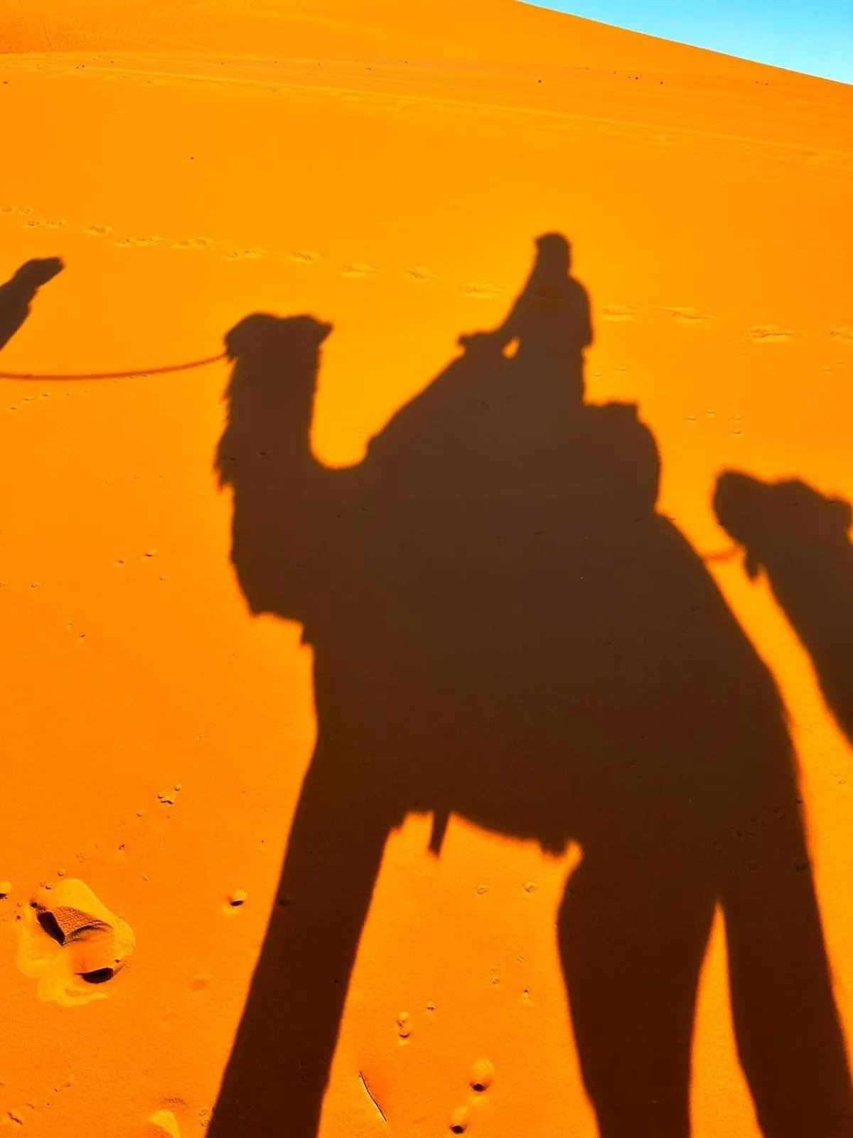 Day in Hôtel Riad Tadarte Familier