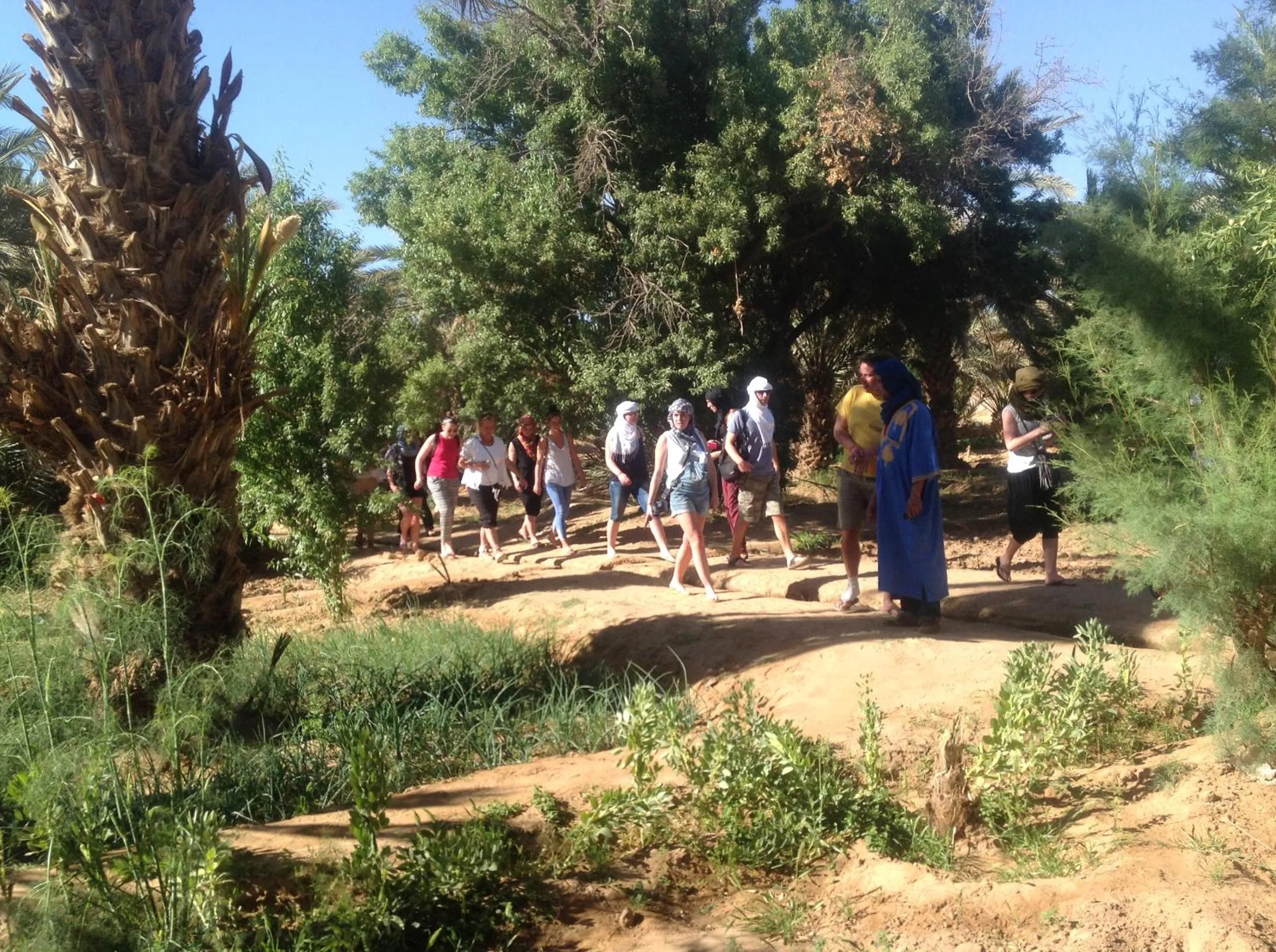 Spring in Hôtel Riad Tadarte Familier