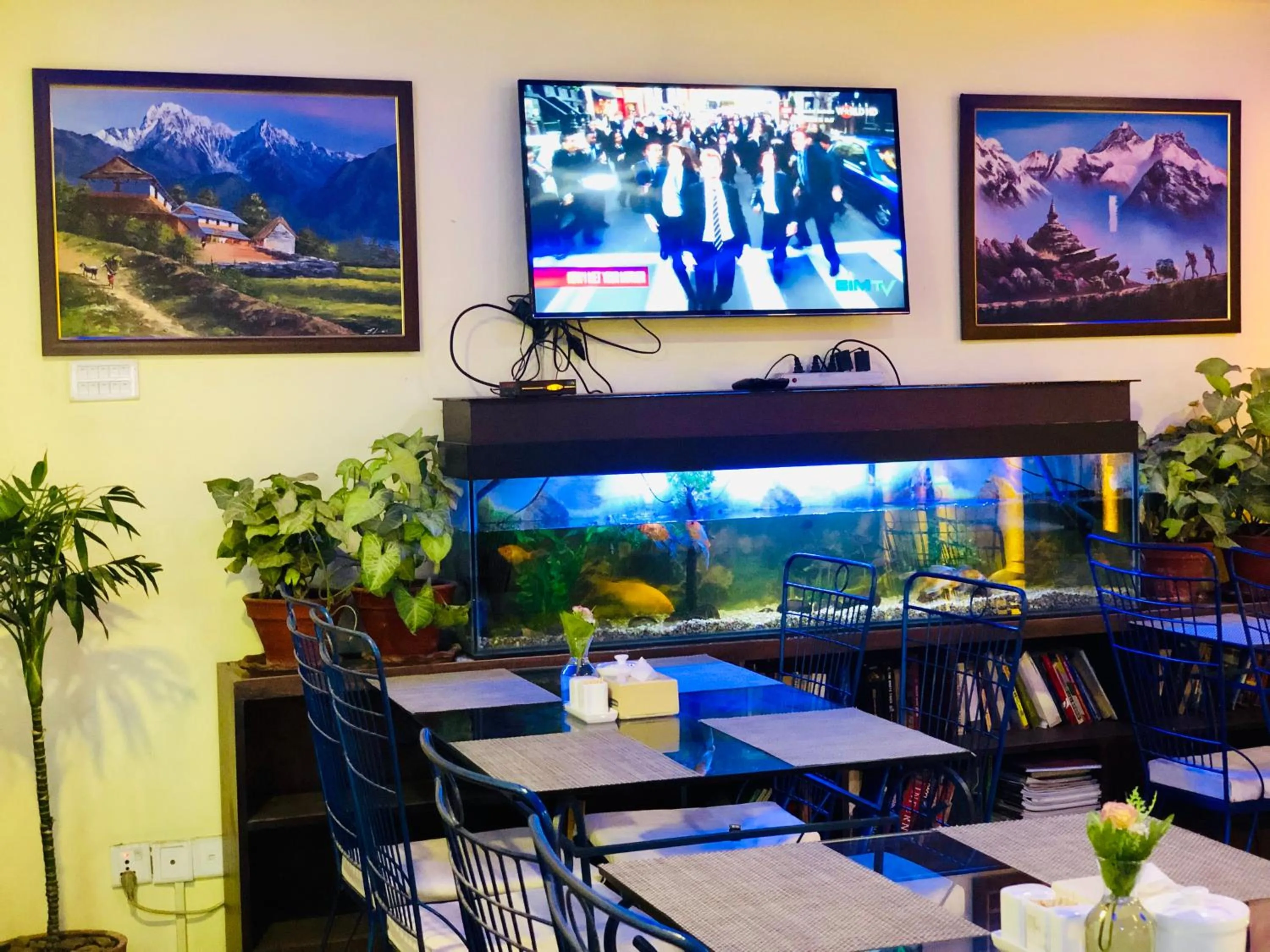 Restaurant/places to eat in Backyard Hotel