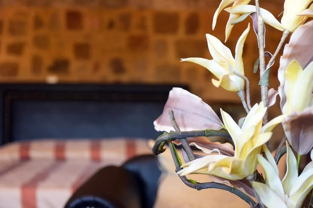 Photo of the whole room in Paris Hotel