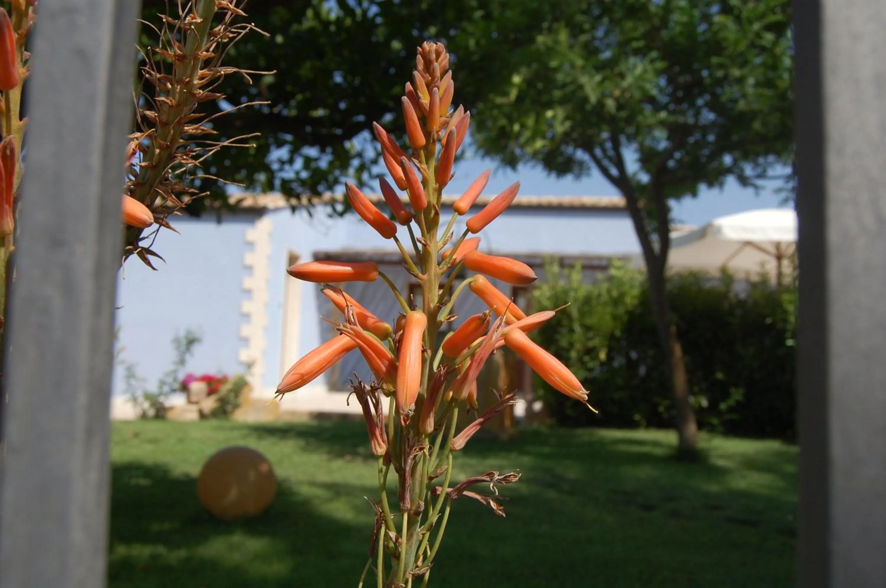 Garden in Terre Iblee Resort
