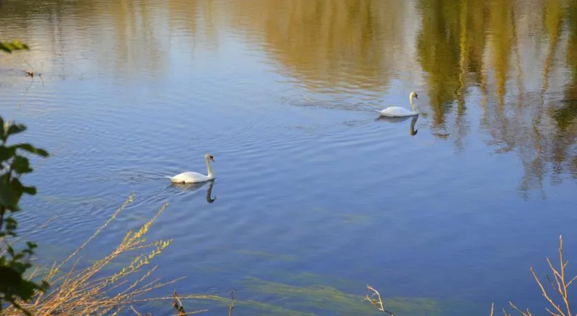 Killarney View House B&amp;B