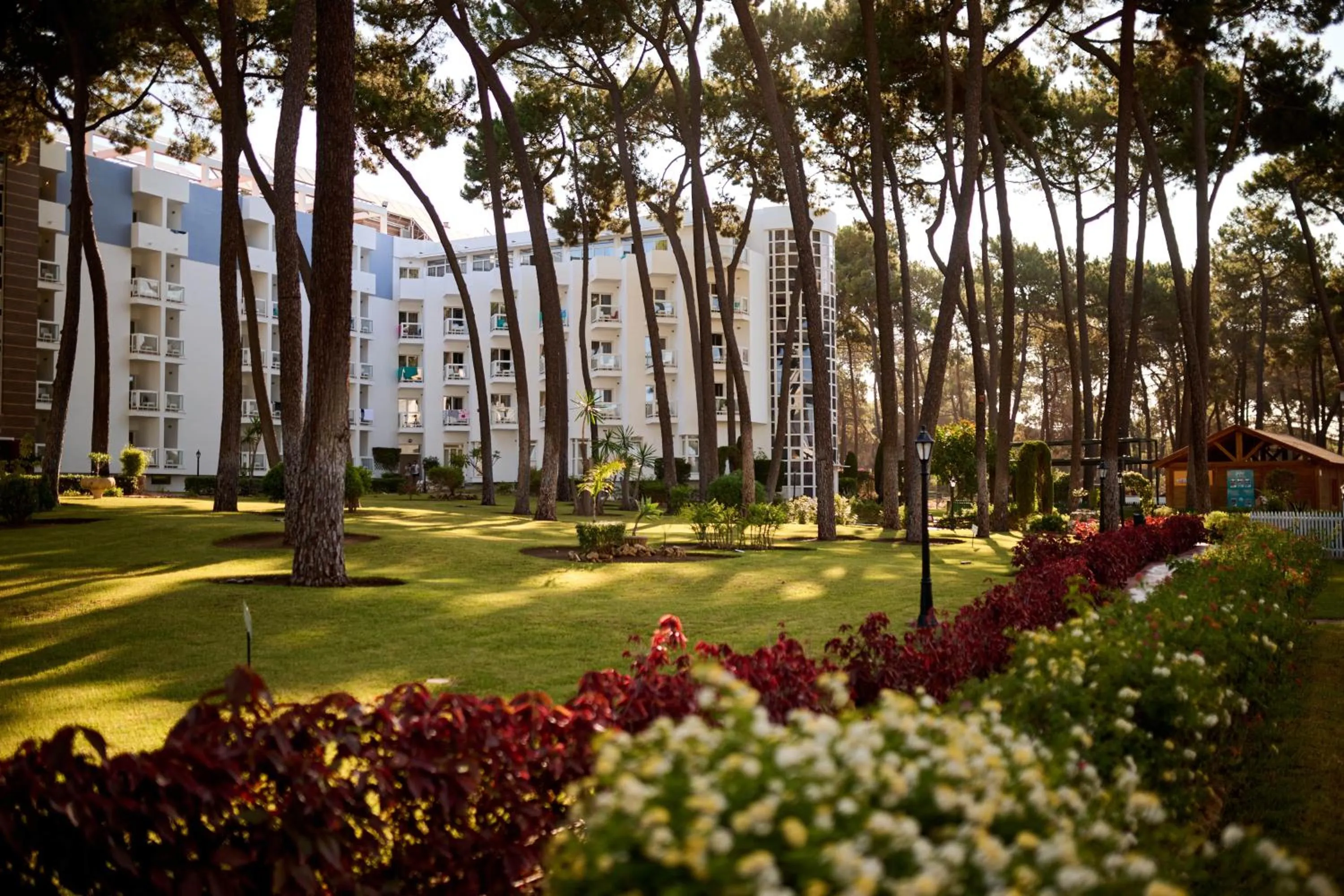 Garden in AluaSun Marbella Park