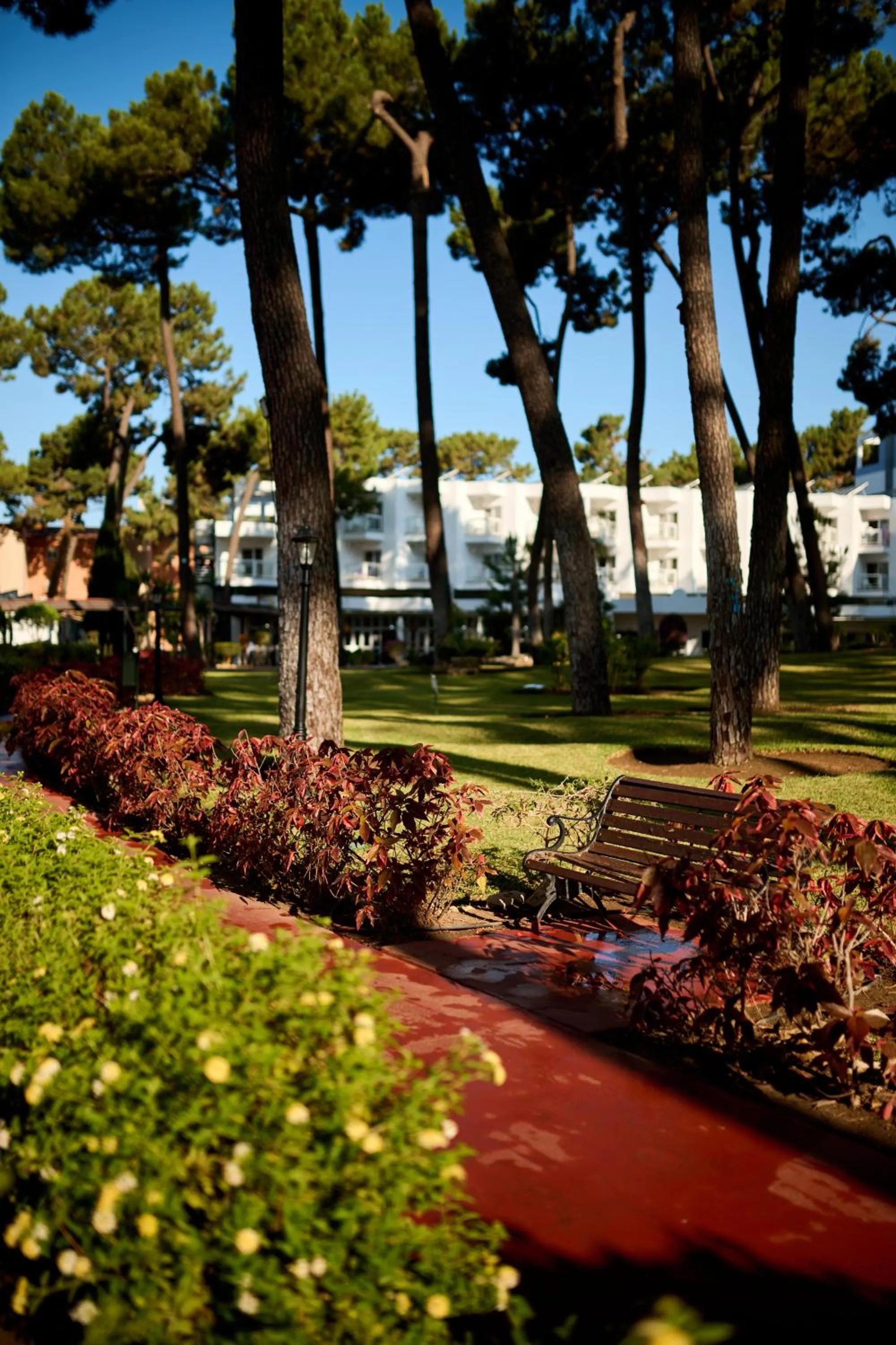 Garden in AluaSun Marbella Park
