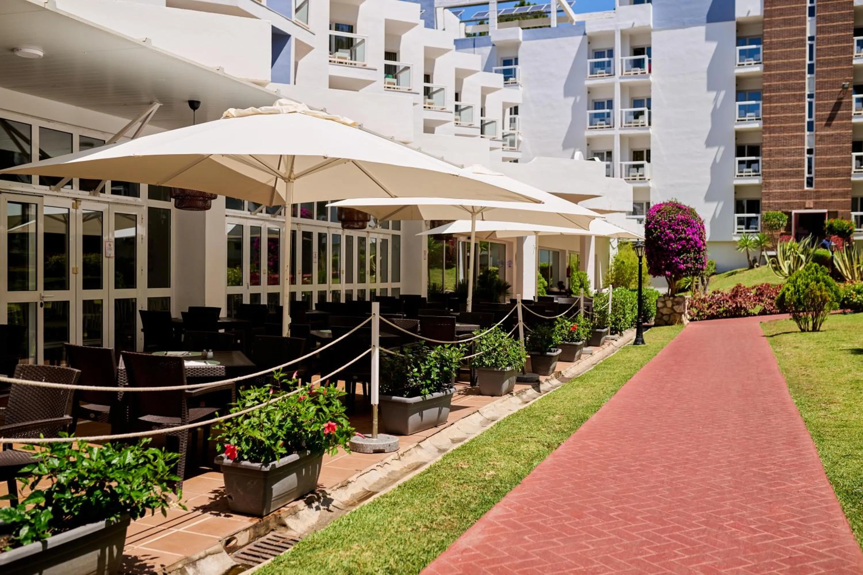 Patio in AluaSun Marbella Park
