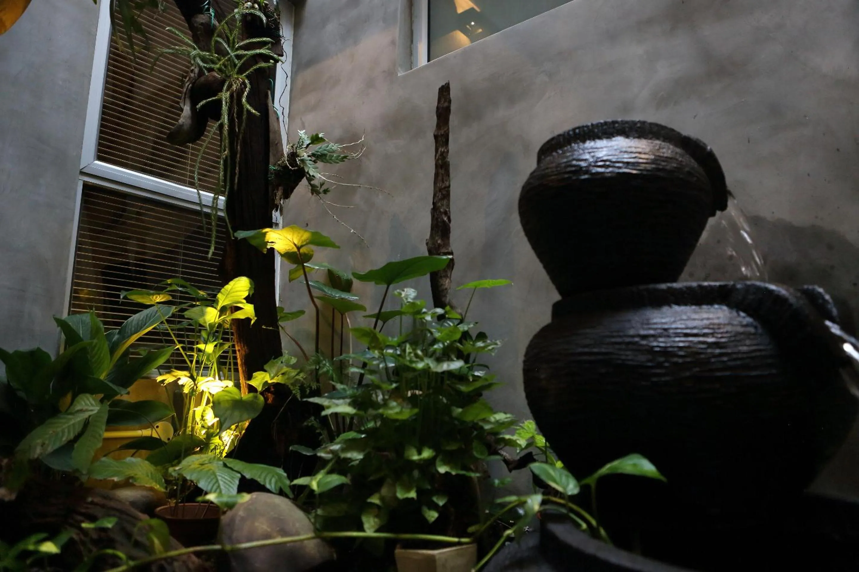 Garden view in De House Hotel