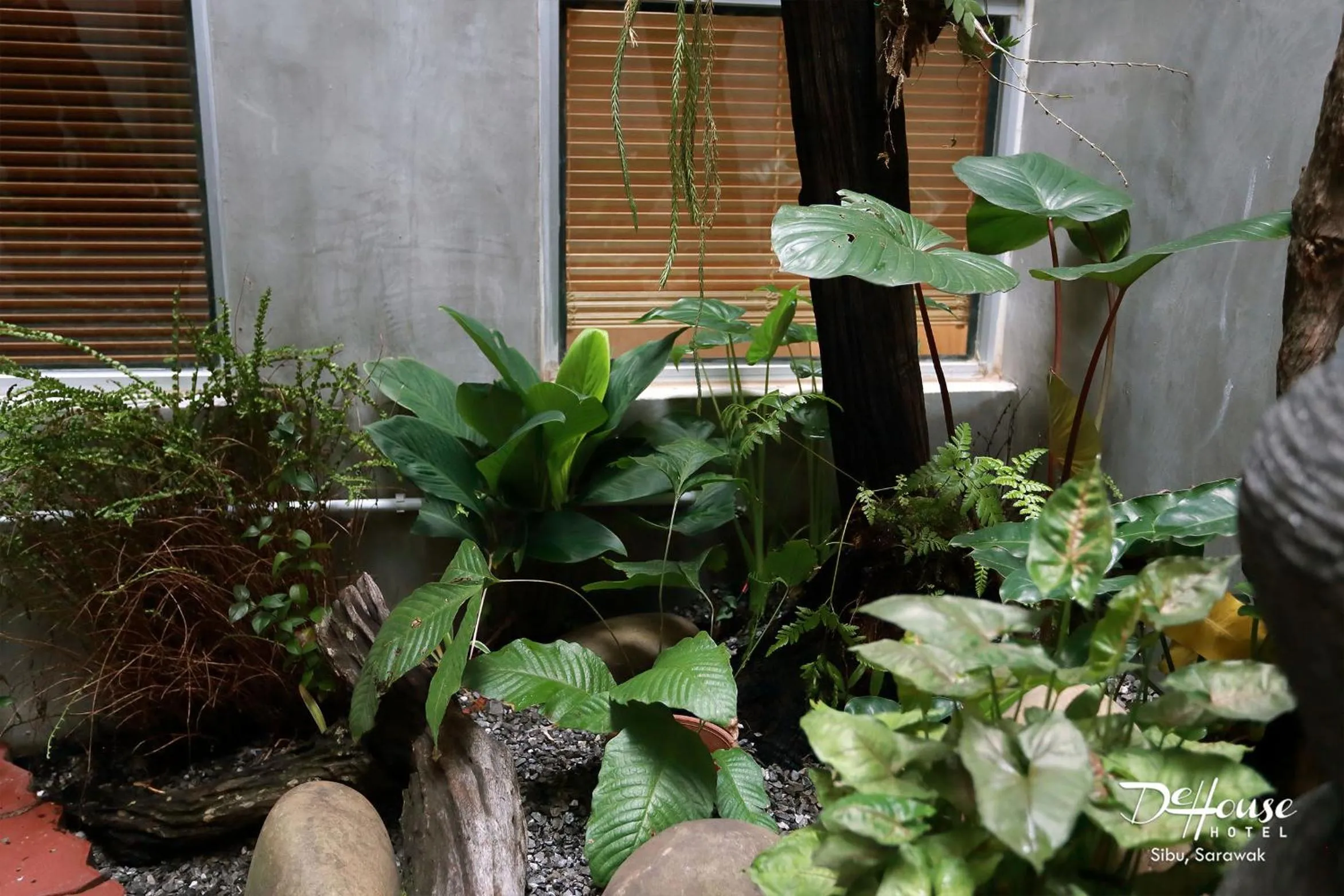 Garden view in De House Hotel