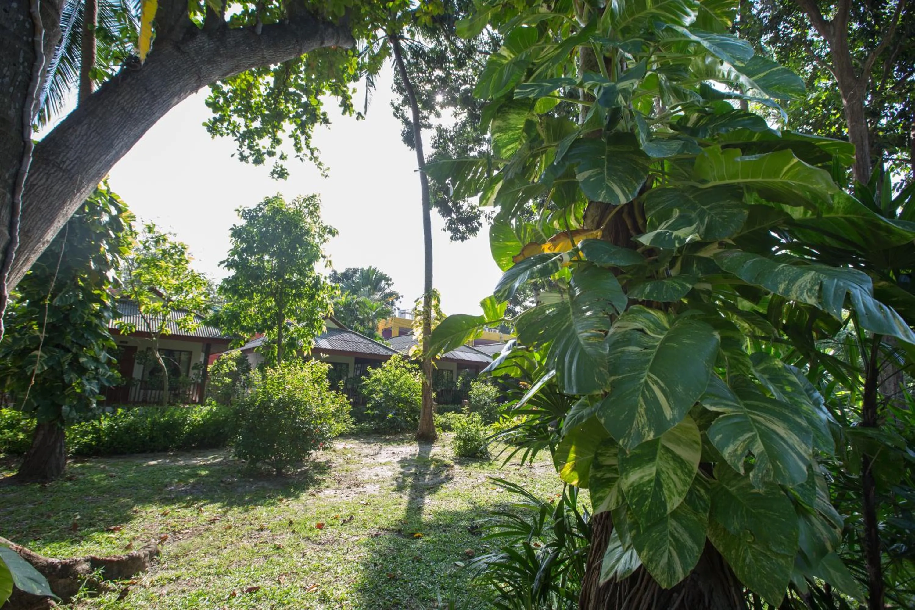 Garden in Long Beach Lodge, Chaweng Beach, Koh Samui