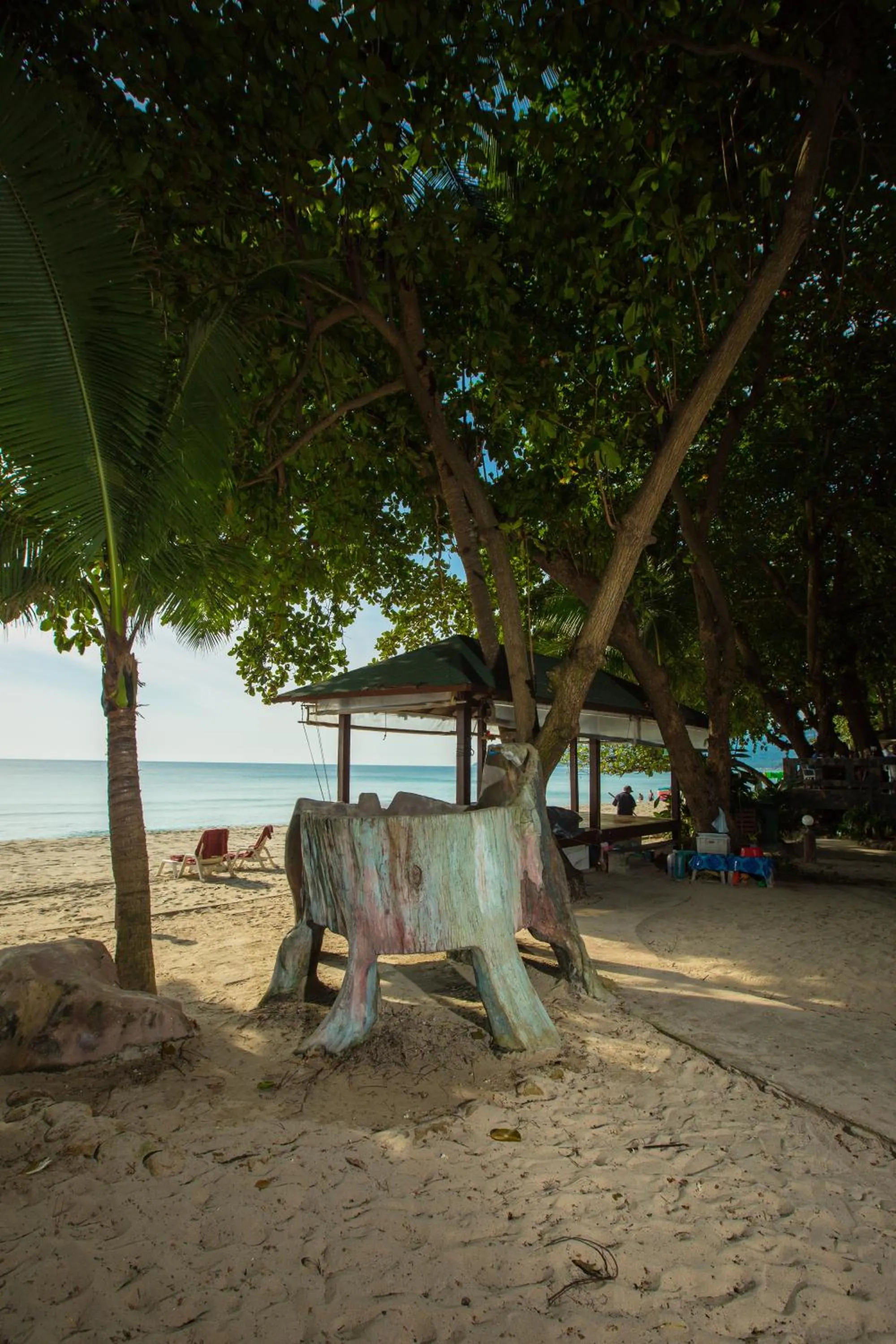 Area and facilities in Long Beach Lodge, Chaweng Beach, Koh Samui
