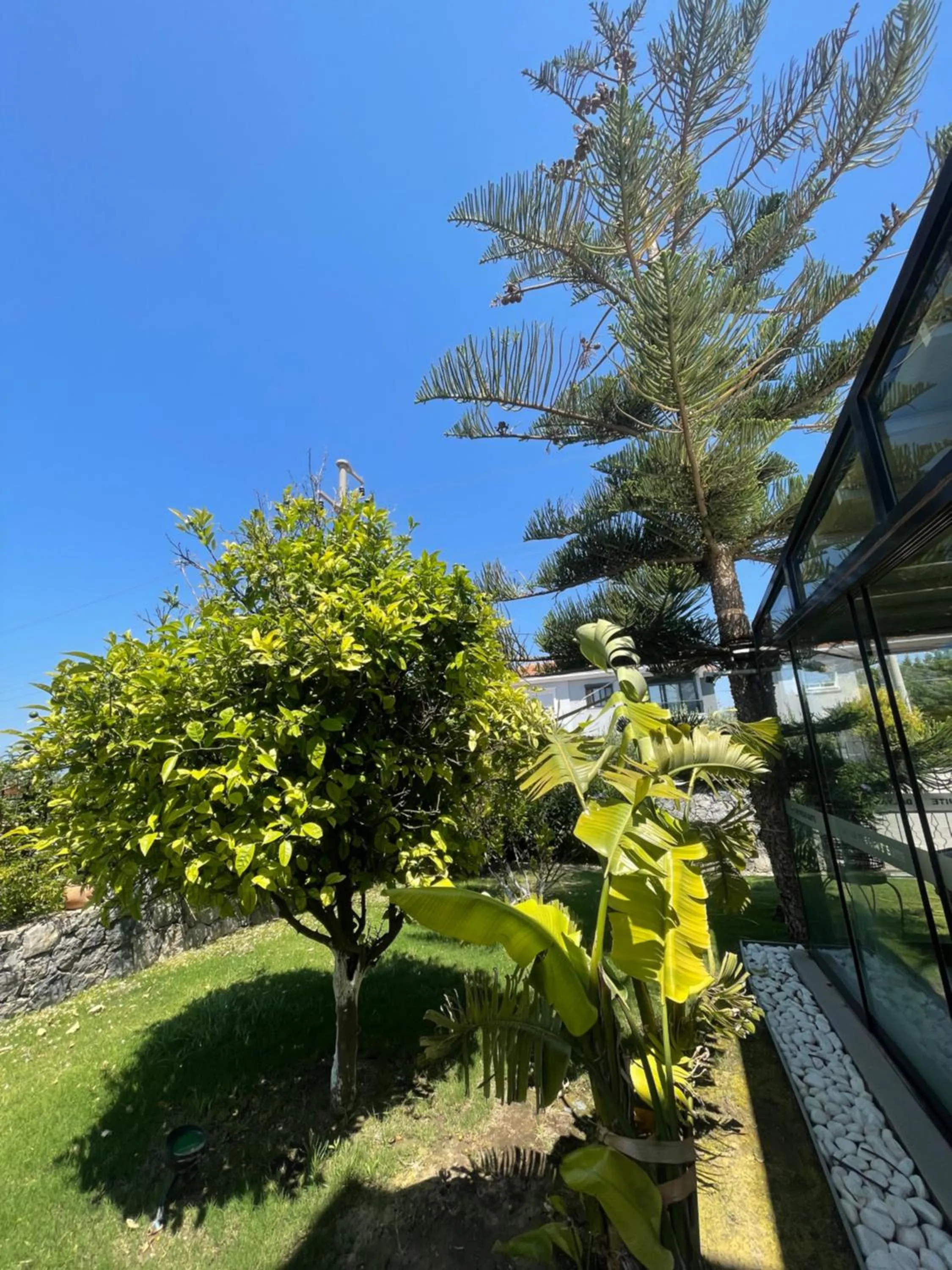 Garden in Dalyan Risus Suite