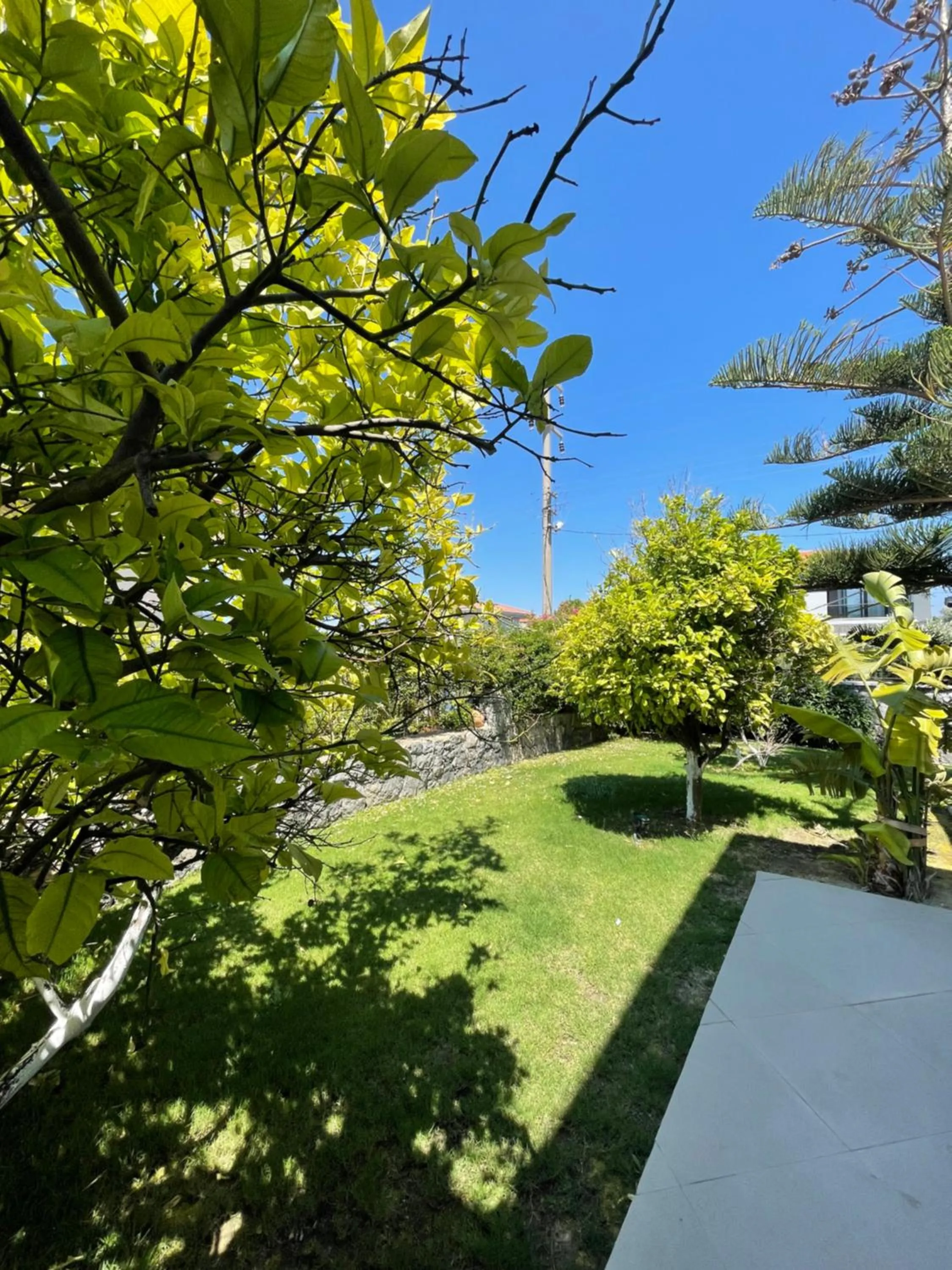 Day in Dalyan Risus Suite