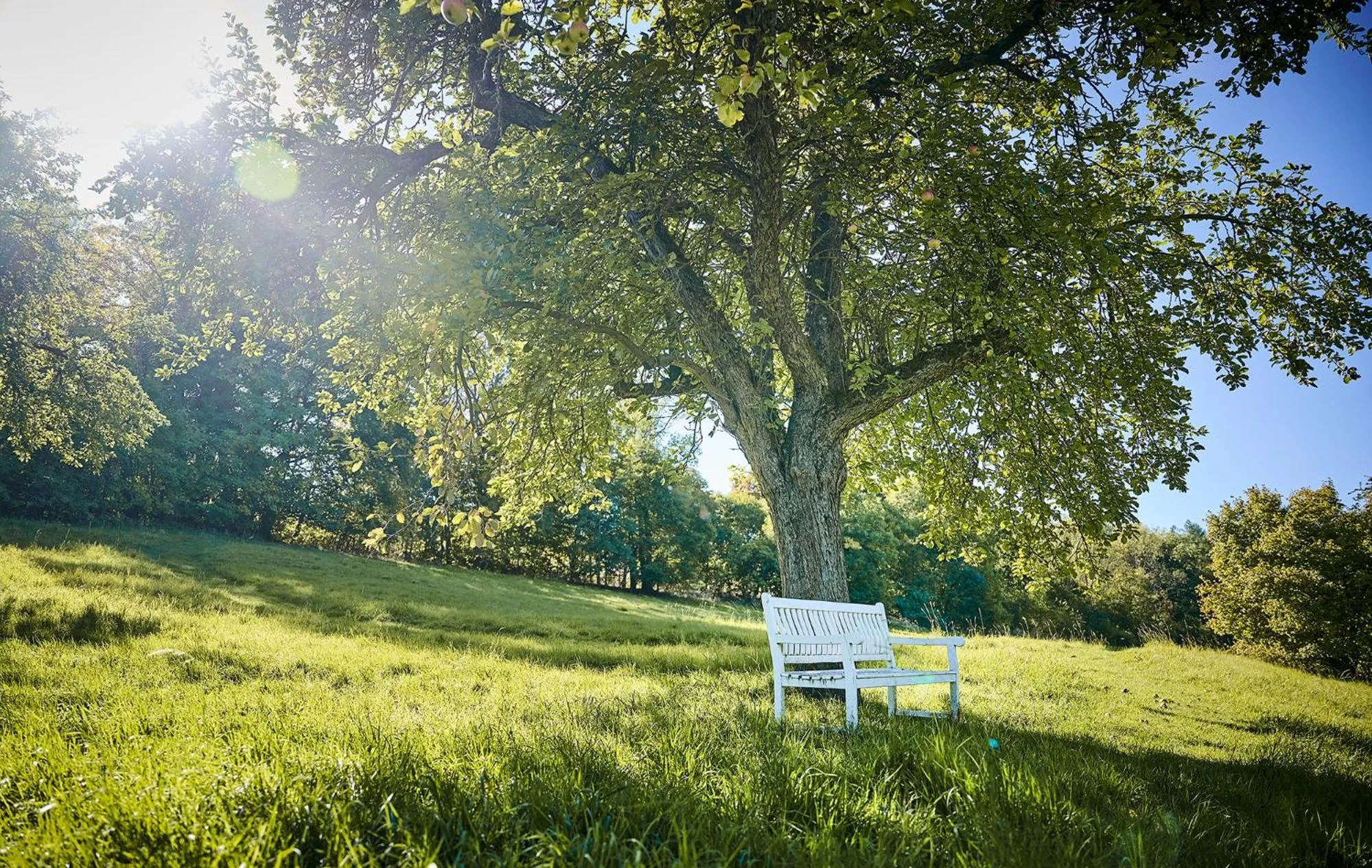 Natural landscape in Hotel Hohenhaus