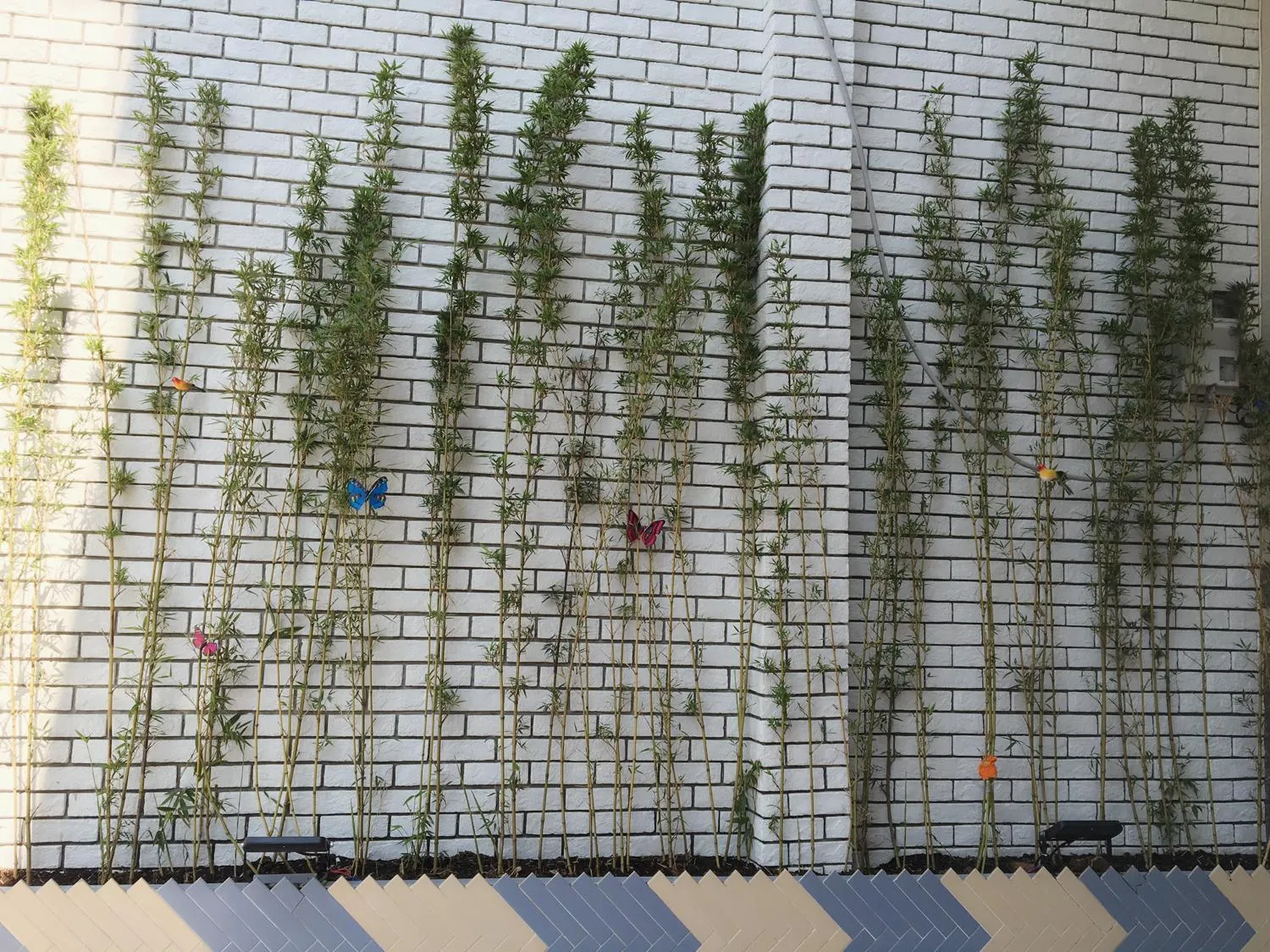 Sao Khue Riverside Hotel & Coffee